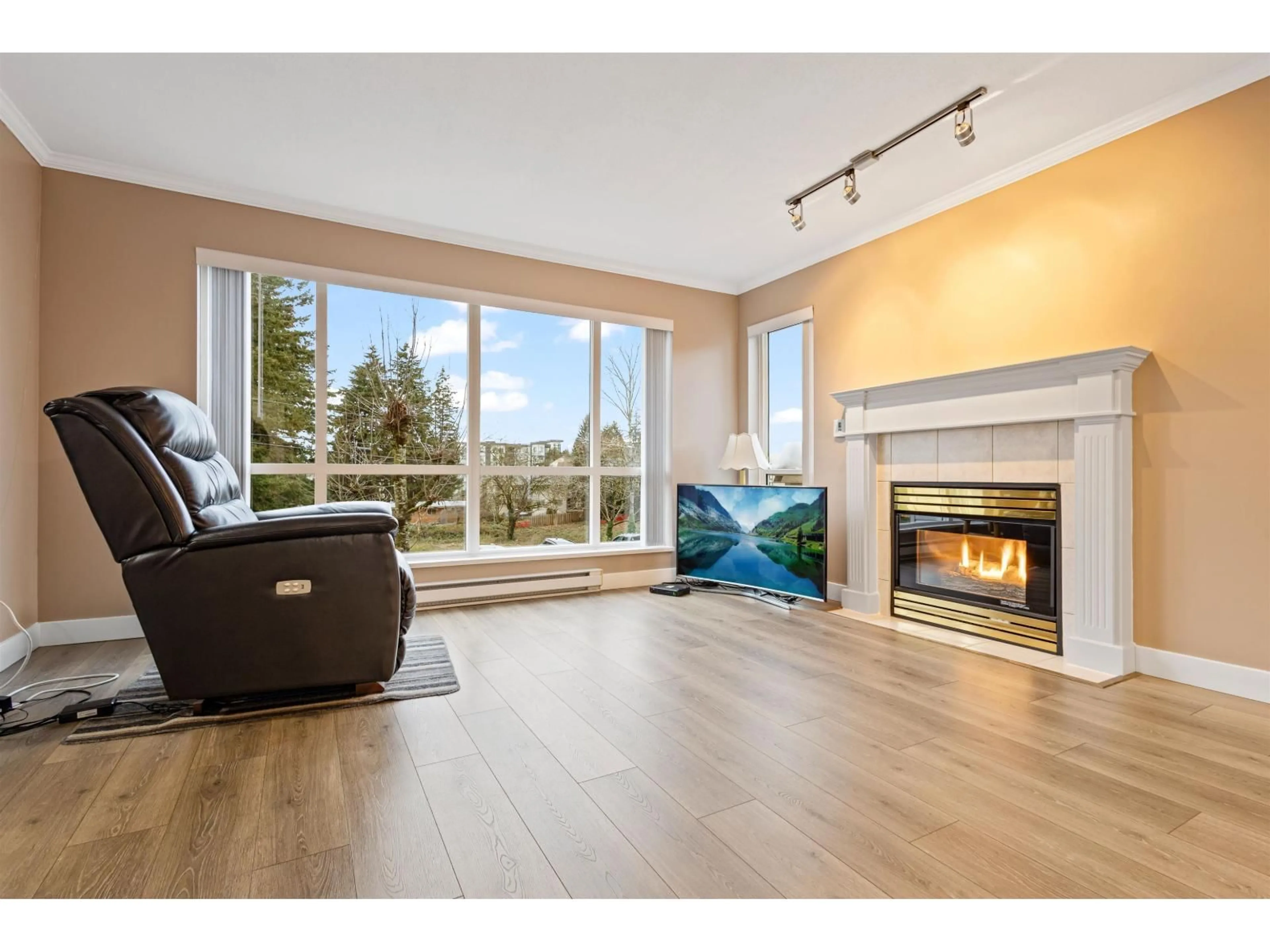 Living room with furniture, wood/laminate floor for 206 - 32120 MT WADDINGTON AVENUE, Abbotsford British Columbia V2T2E8