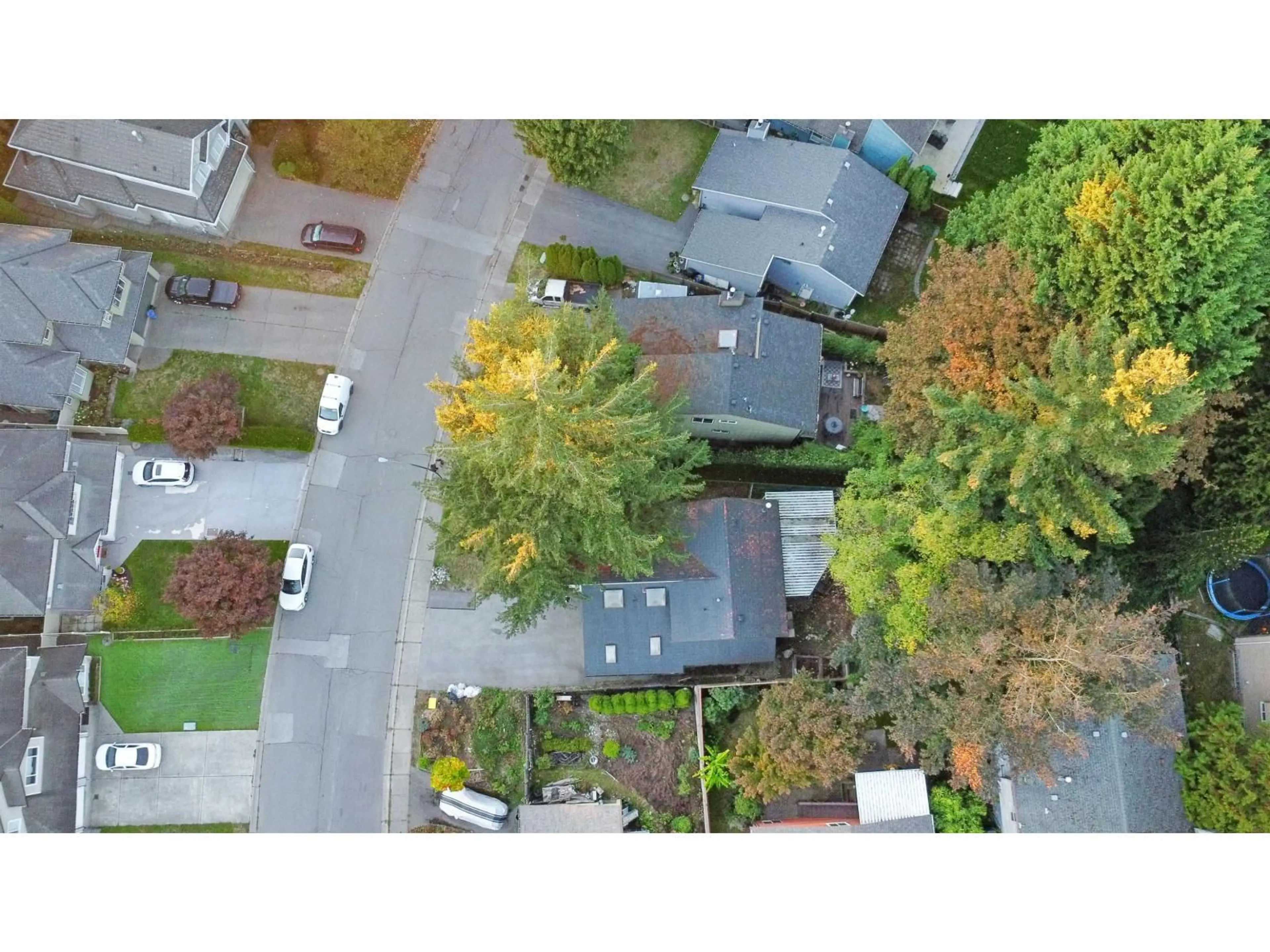 A pic from outside/outdoor area/front of a property/back of a property/a pic from drone, street for 8330 SHEAVES ROAD, Delta British Columbia V4C3X1