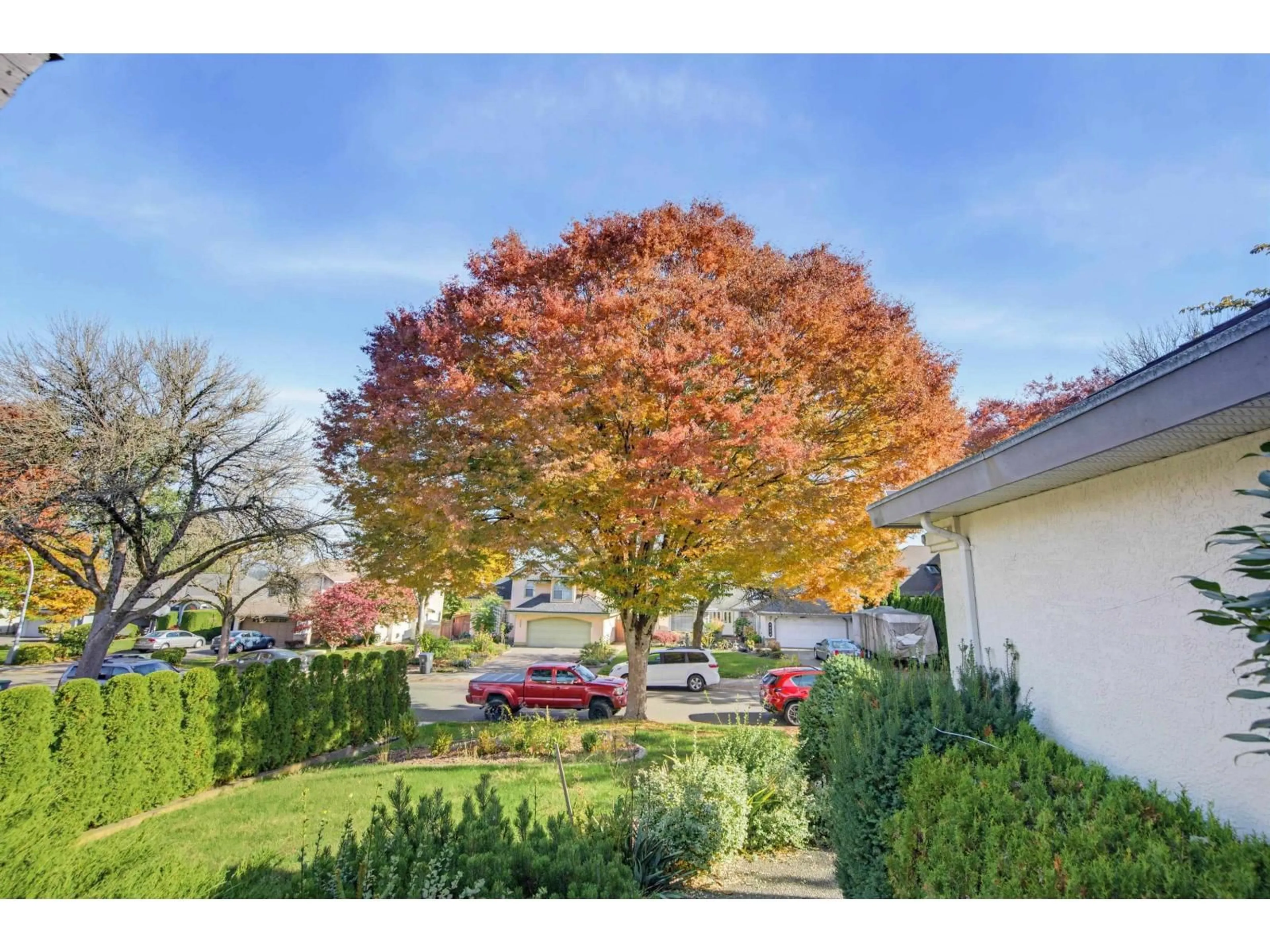 A pic from outside/outdoor area/front of a property/back of a property/a pic from drone, street for 8537 166 STREET, Surrey British Columbia V4N3H1