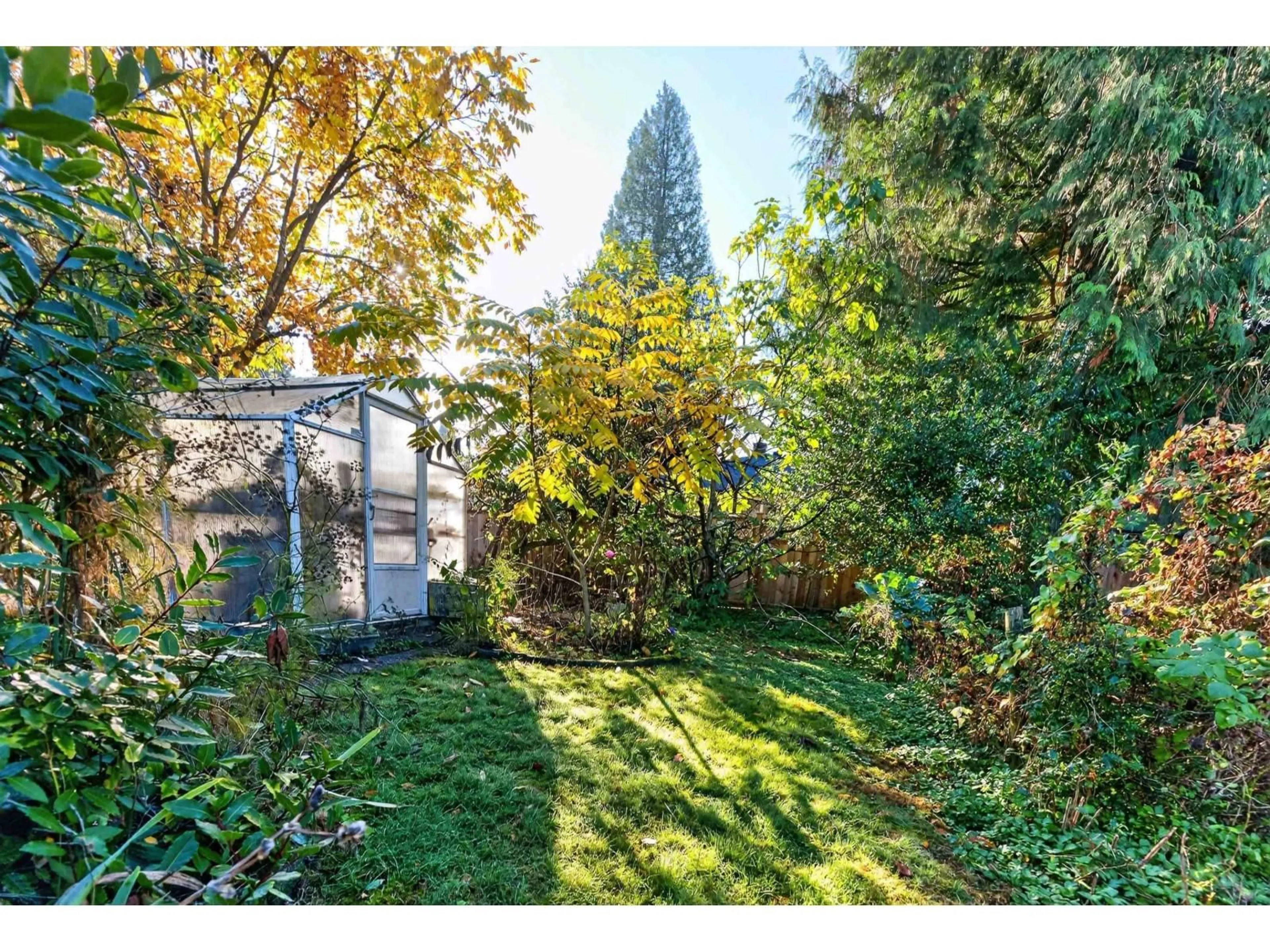 Shed for 11536 93 AVENUE, Delta British Columbia V4C3N4