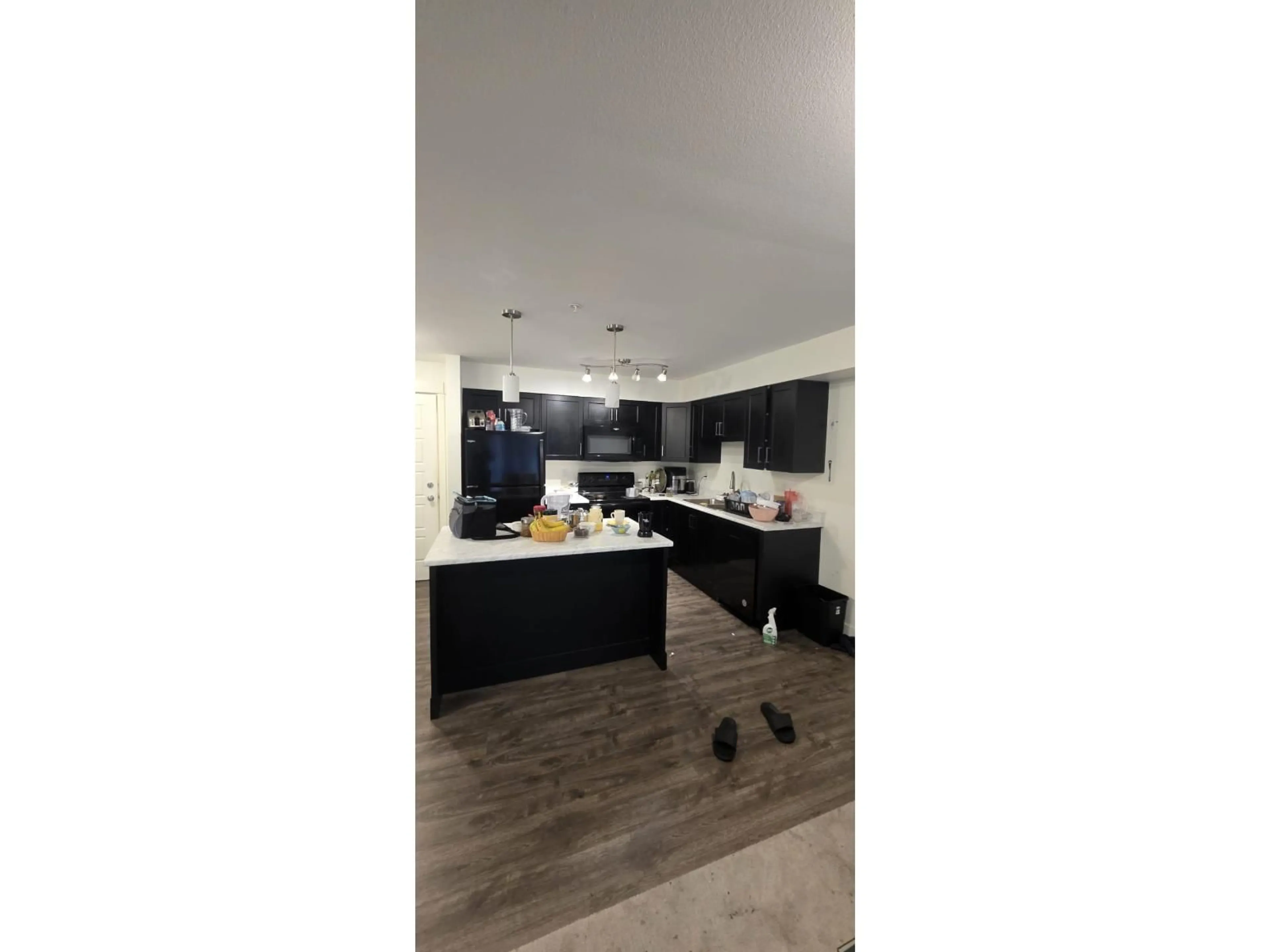 Open concept kitchen, unknown for 306 - 30515 CARDINAL AVENUE, Abbotsford British Columbia V2T0A8