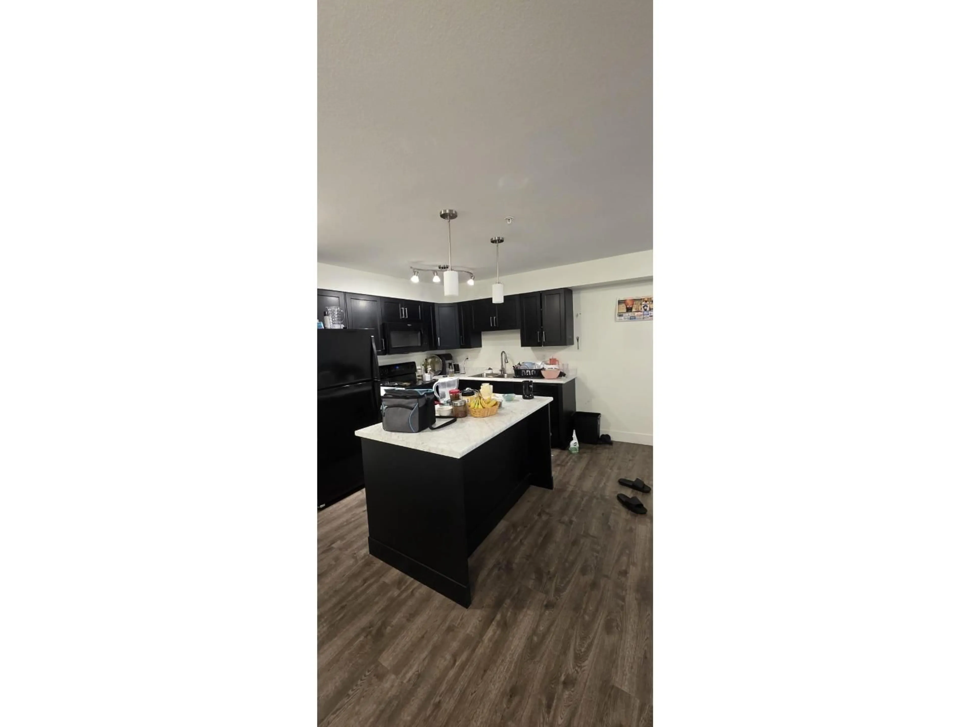 Open concept kitchen, wood/laminate floor for 306 - 30515 CARDINAL AVENUE, Abbotsford British Columbia V2T0A8