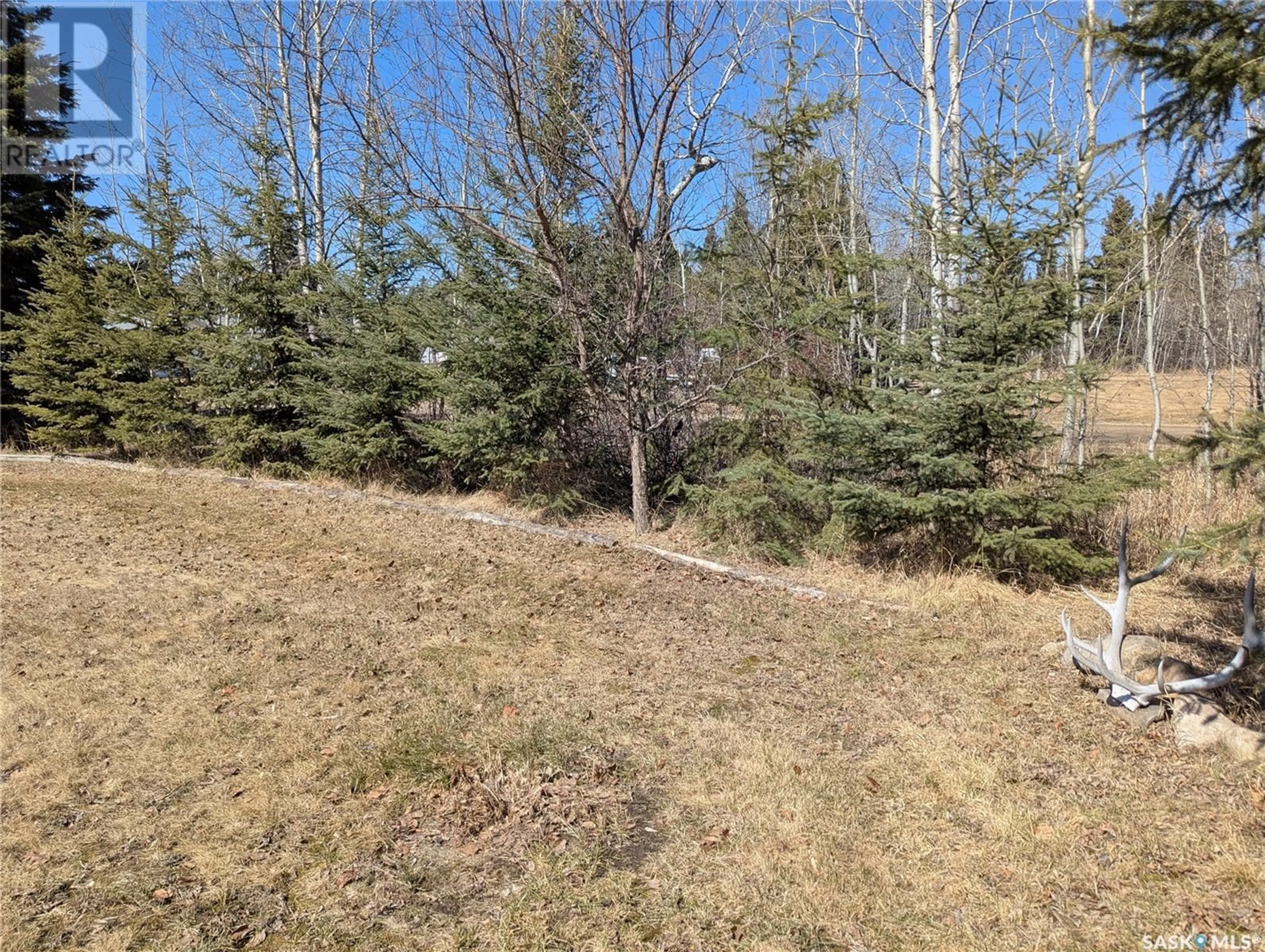A pic from outside/outdoor area/front of a property/back of a property/a pic from drone, forest/trees view for 129 LEMIEUX CRESCENT, Leoville Saskatchewan S0J1N0