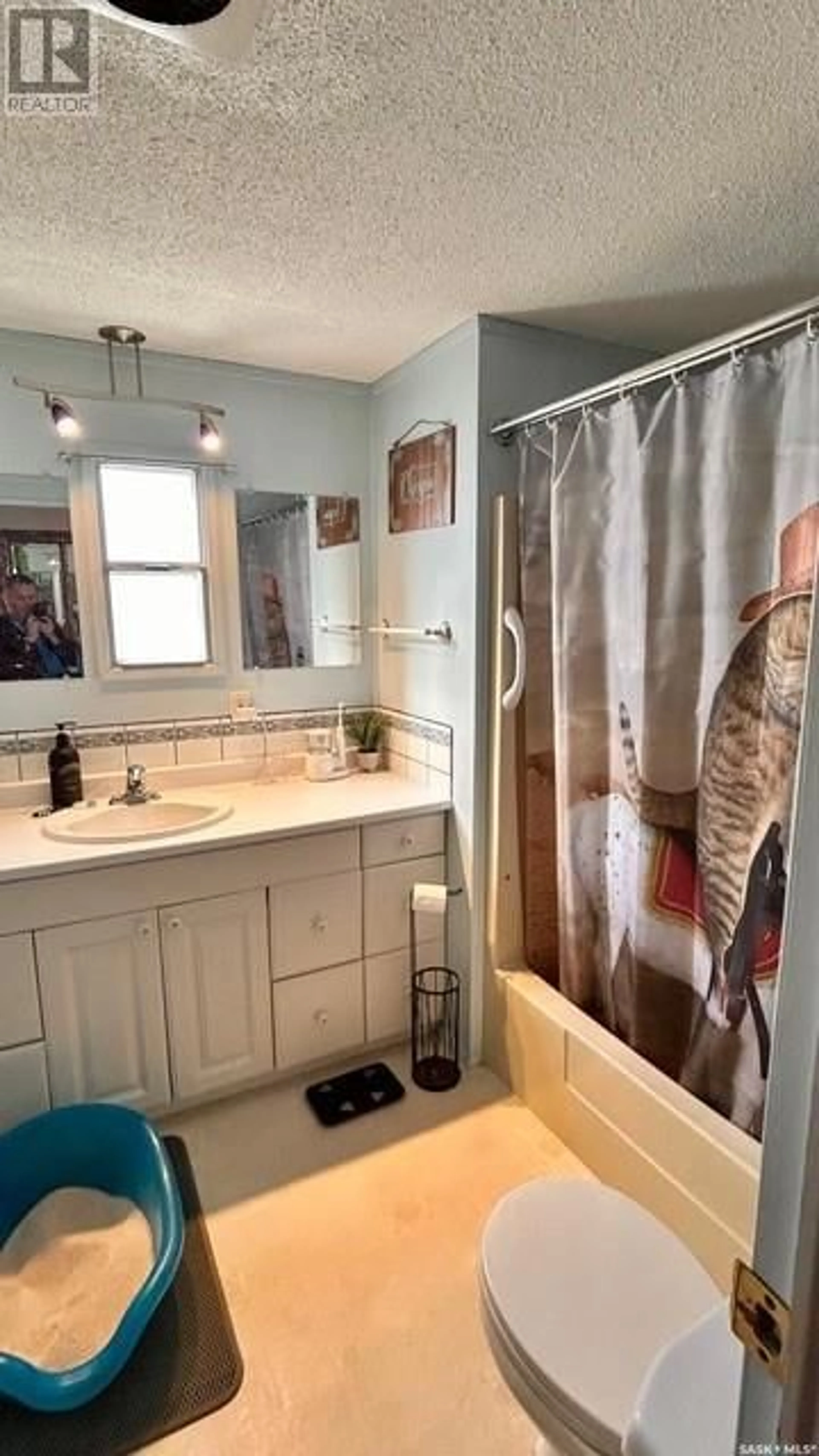 Standard bathroom, ceramic/tile floor for E - E49 12TH AVENUE, Regina Saskatchewan S4N0M6