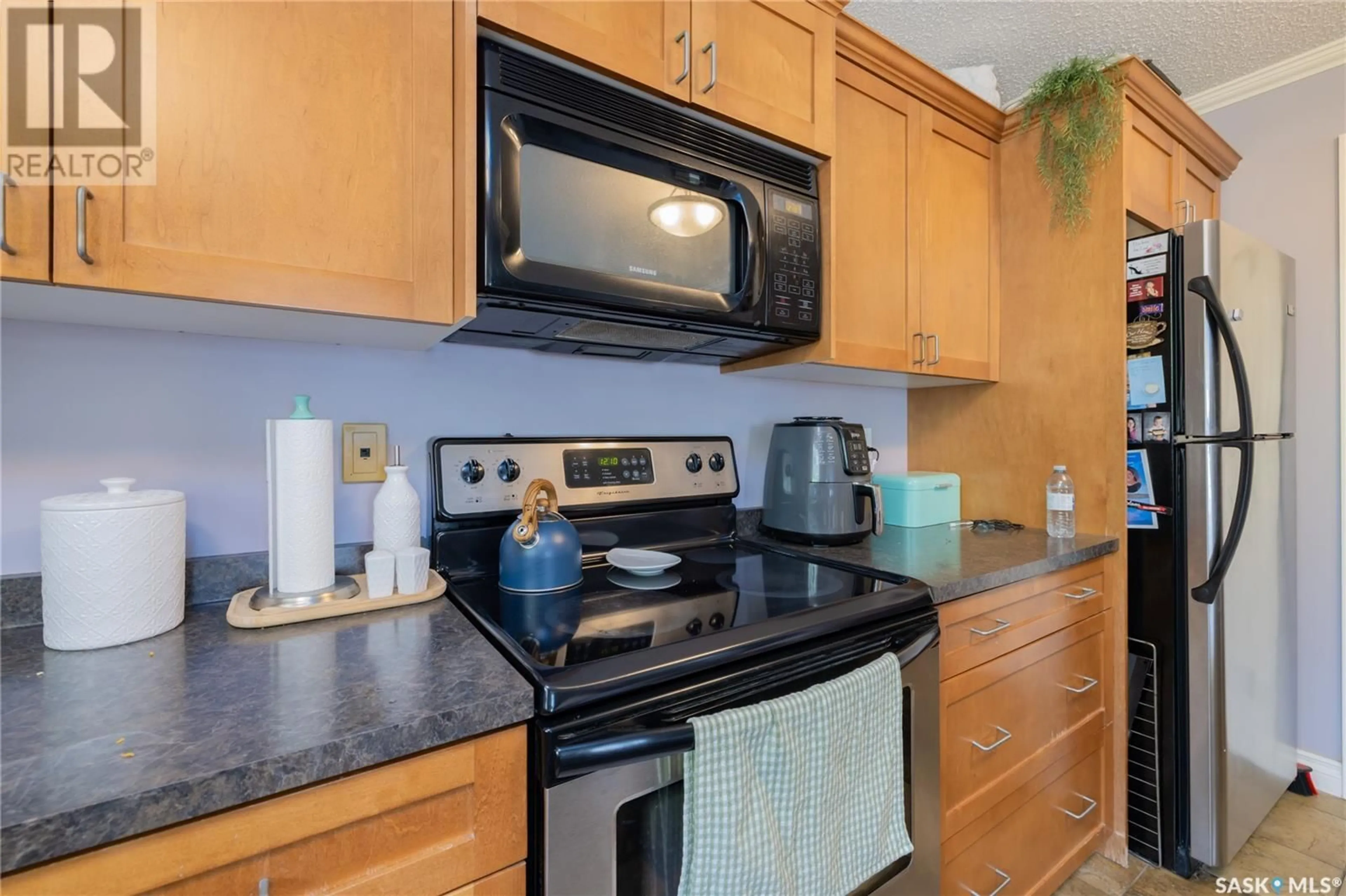 Standard kitchen, unknown for 202 - 521 18TH STREET, Saskatoon Saskatchewan S7M1C8