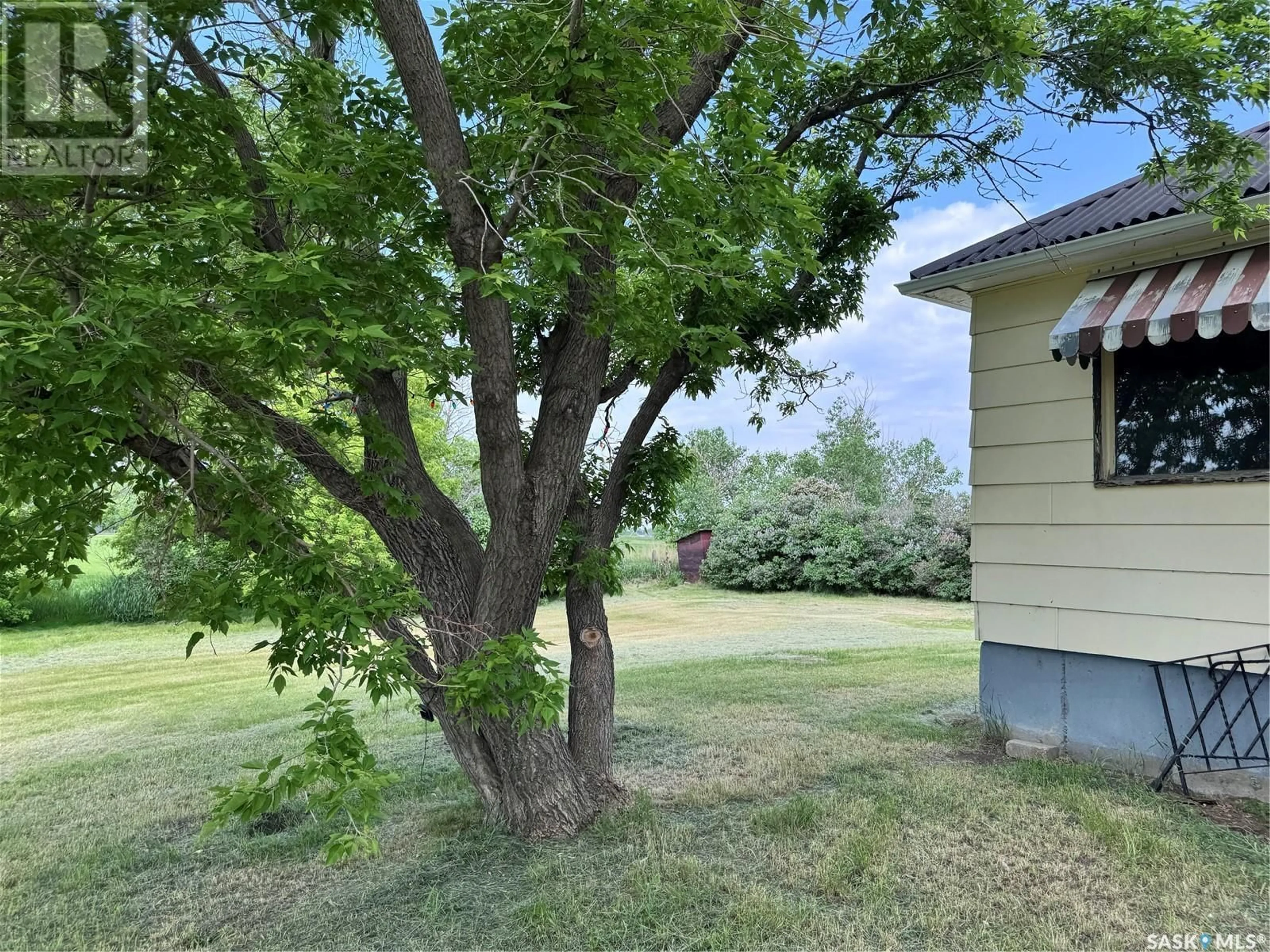 A pic from outside/outdoor area/front of a property/back of a property/a pic from drone, forest/trees view for 20.85 BIENFAIT ACREAGE, Bienfait Saskatchewan S0C0M0