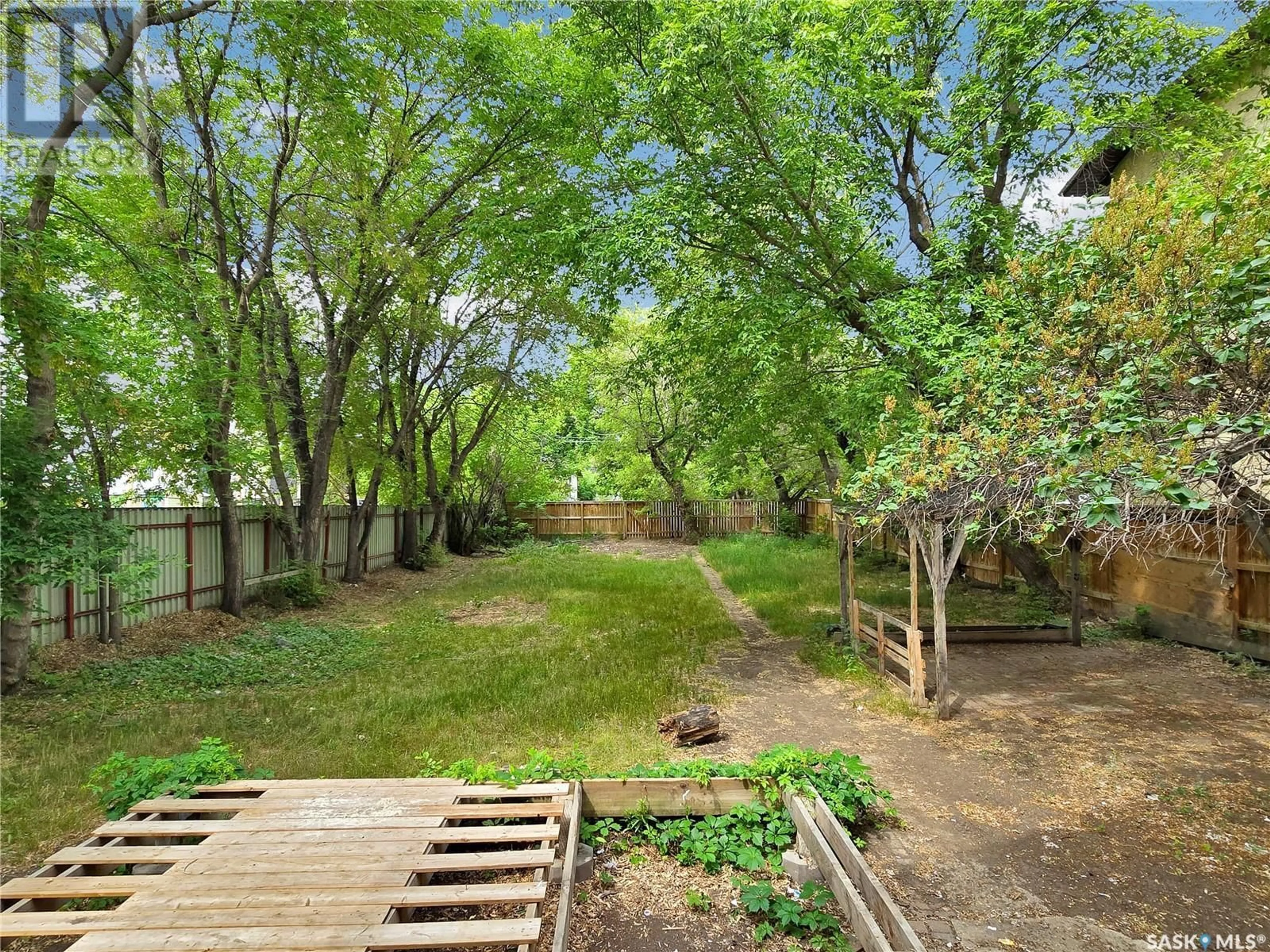 Patio, forest/trees view for 221 N AVENUE S, Saskatoon Saskatchewan S7M2N1