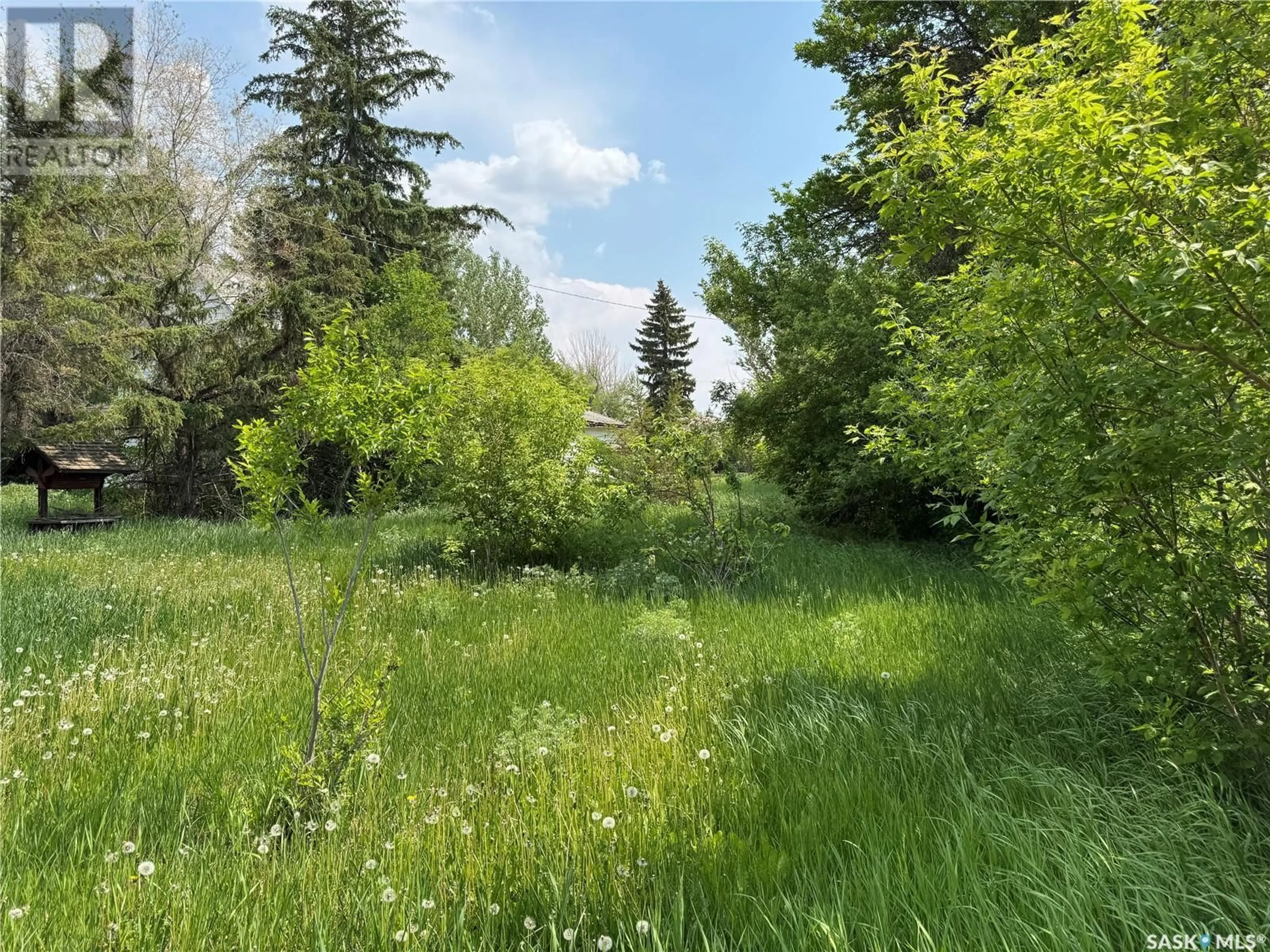 Blurry image for 823 MAIN STREET, Holdfast Saskatchewan S0G2H0