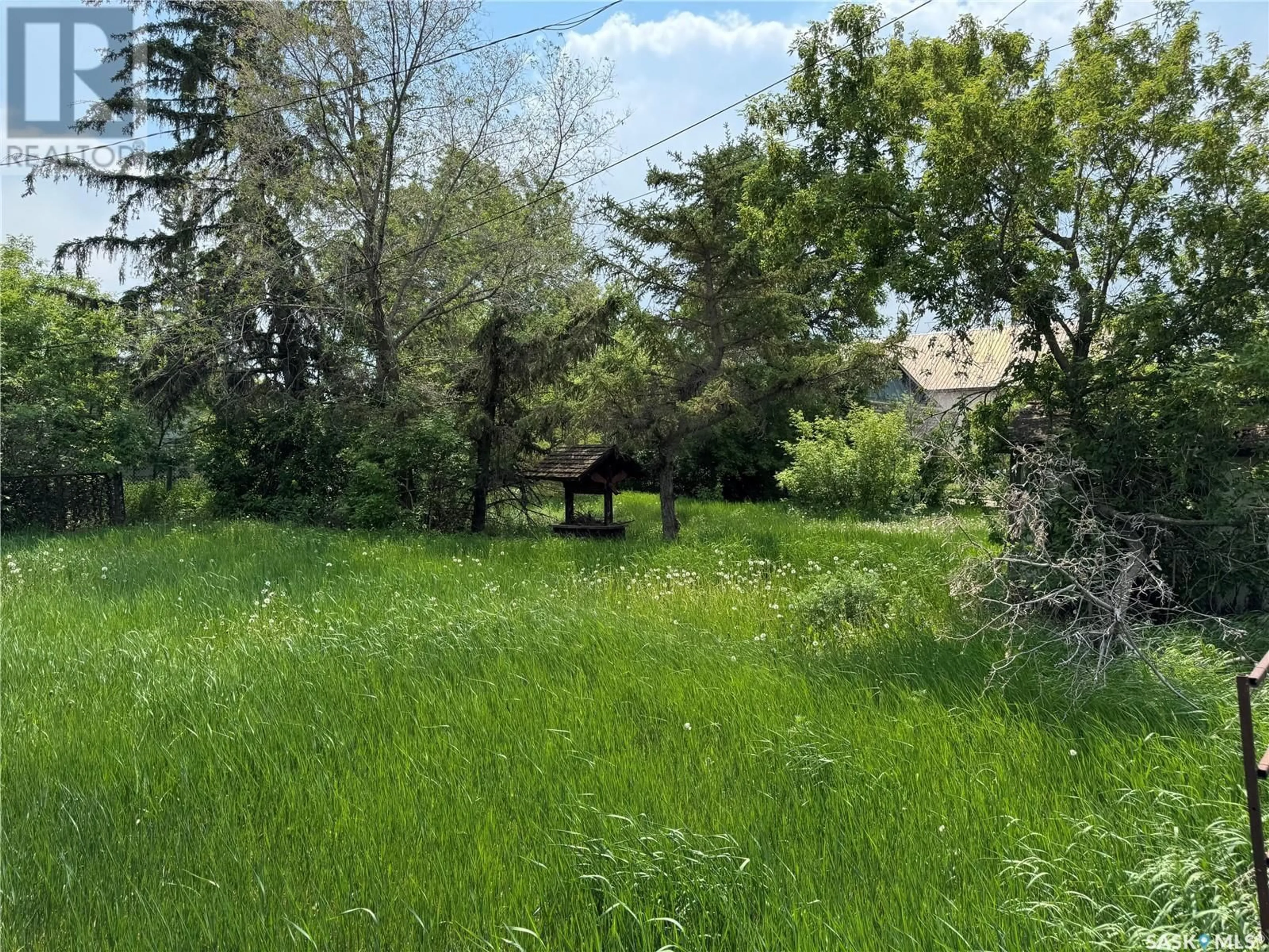 A pic from outside/outdoor area/front of a property/back of a property/a pic from drone, forest/trees view for 823 MAIN STREET, Holdfast Saskatchewan S0G2H0