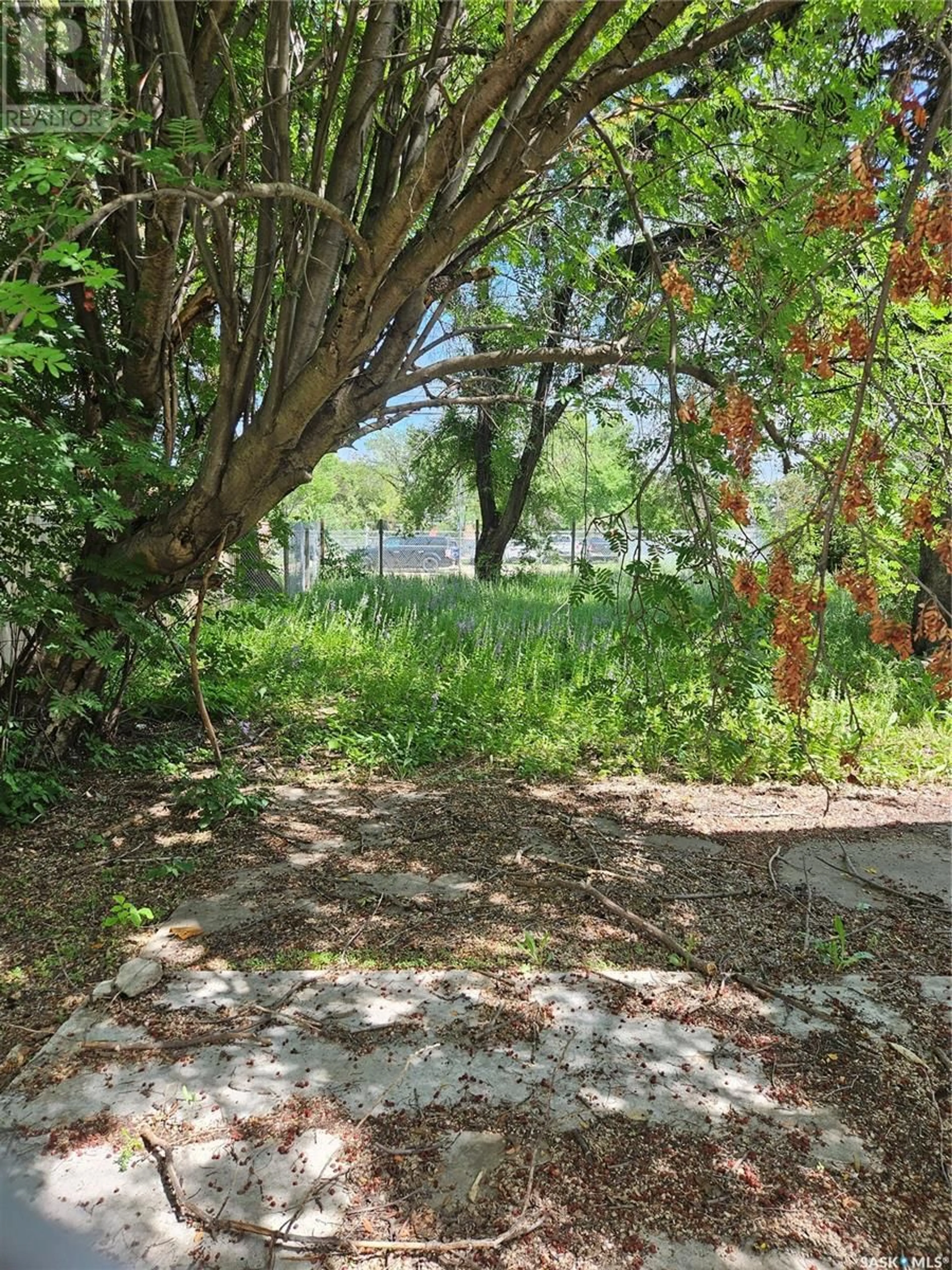 A pic from outside/outdoor area/front of a property/back of a property/a pic from drone, forest/trees view for 1324 B AVENUE, Saskatoon Saskatchewan S7L1C9