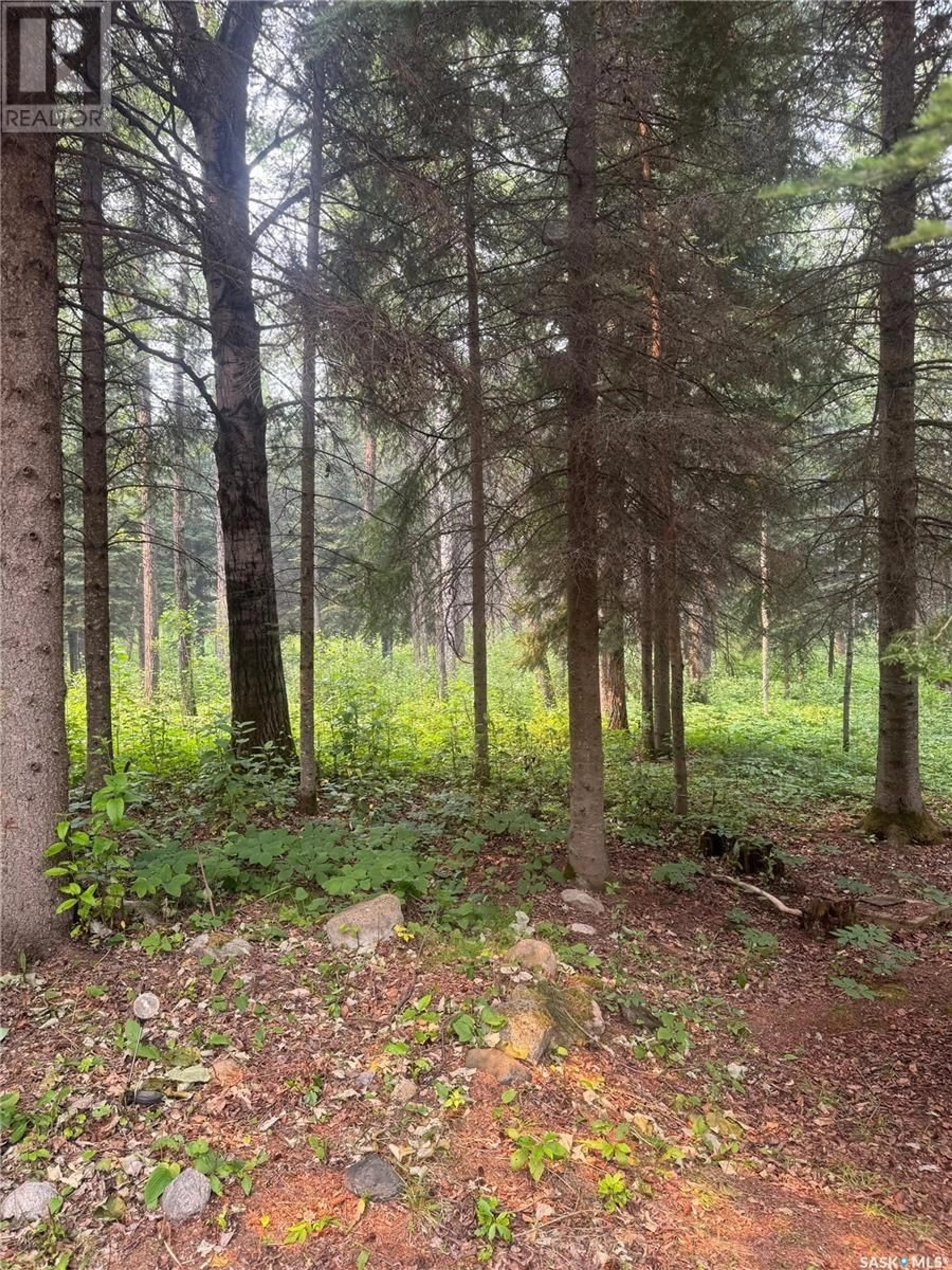 Blurry image for Lakeland Rm No. 521 Saskatchewan S0J0N0