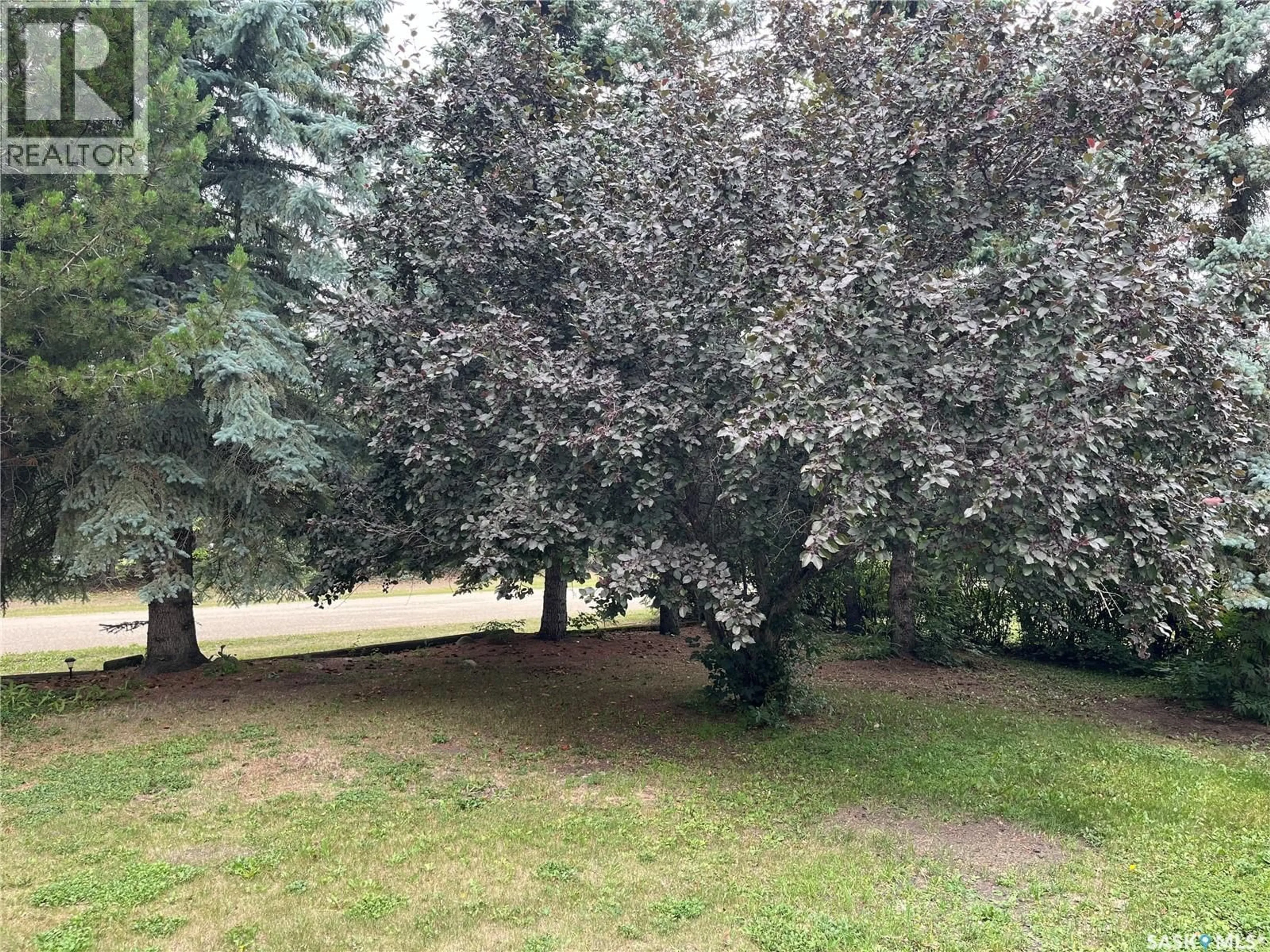 A pic from outside/outdoor area/front of a property/back of a property/a pic from drone, forest/trees view for 443 1ST STREET, Annaheim Saskatchewan S0K0G0