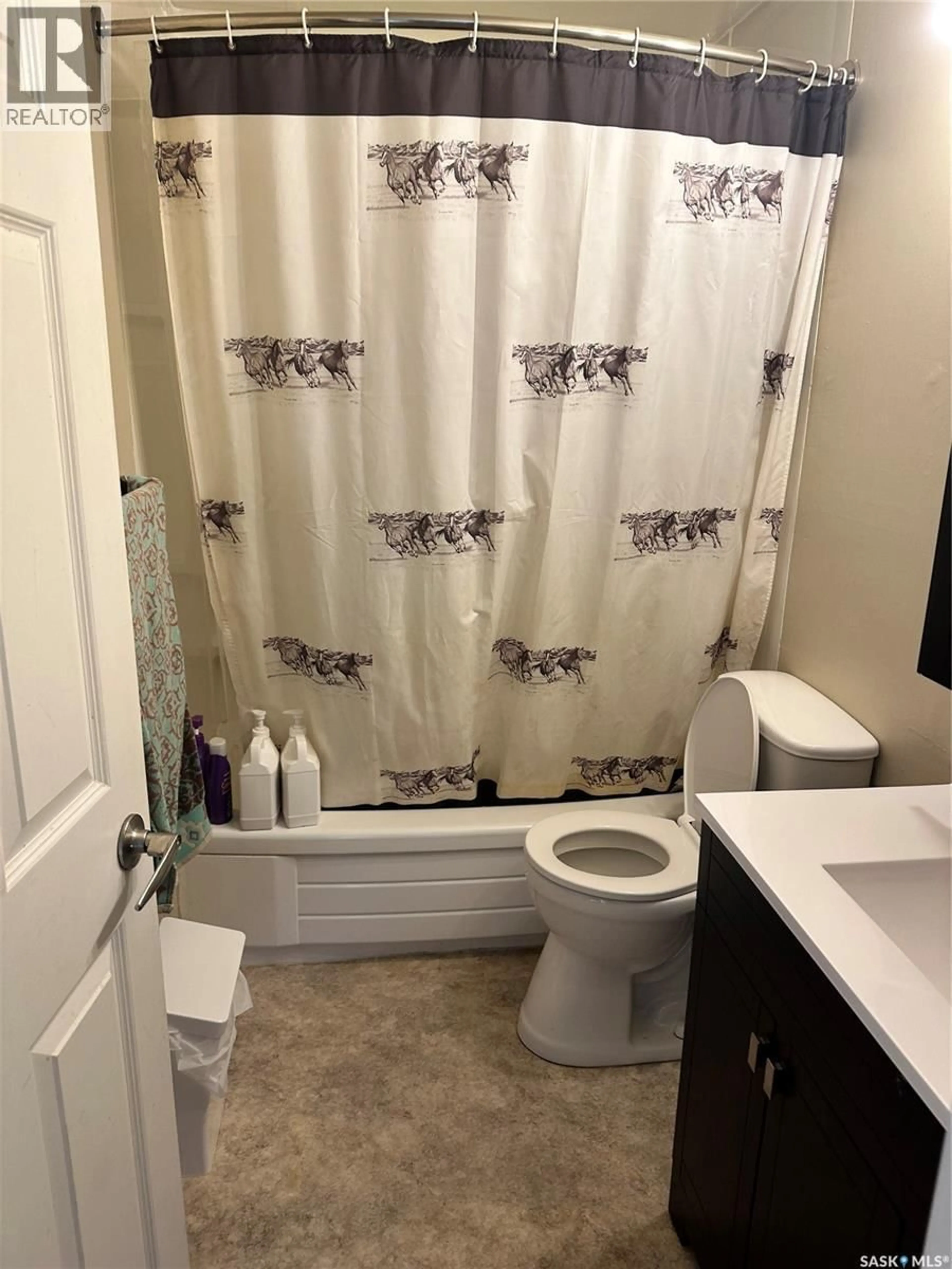 Standard bathroom, floor is not visible for 216 1ST STREET, Carnduff Saskatchewan S0C0S0