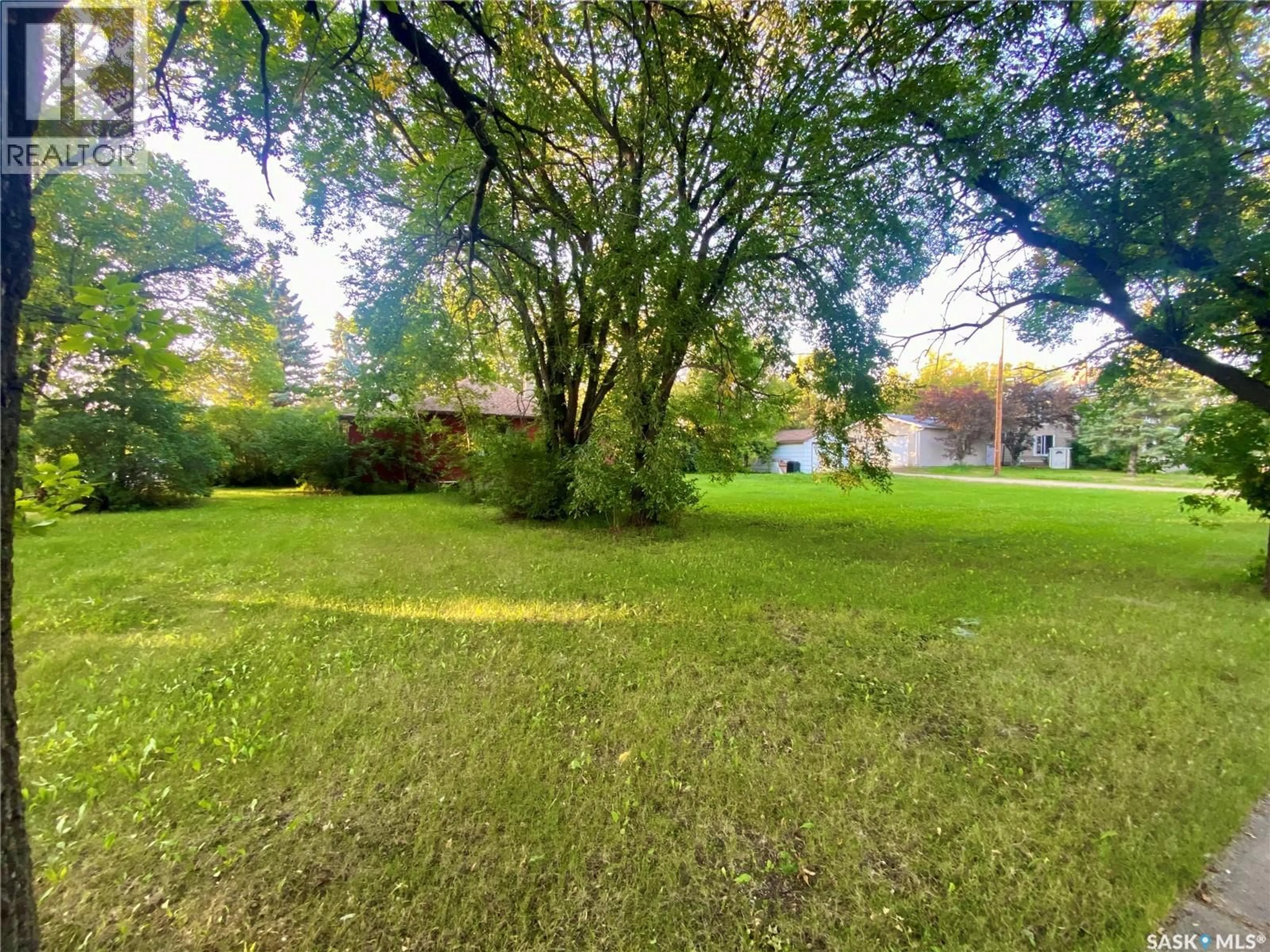 A pic from outside/outdoor area/front of a property/back of a property/a pic from drone, forest/trees view for 231 5TH STREET, Alameda Saskatchewan S0C0A0