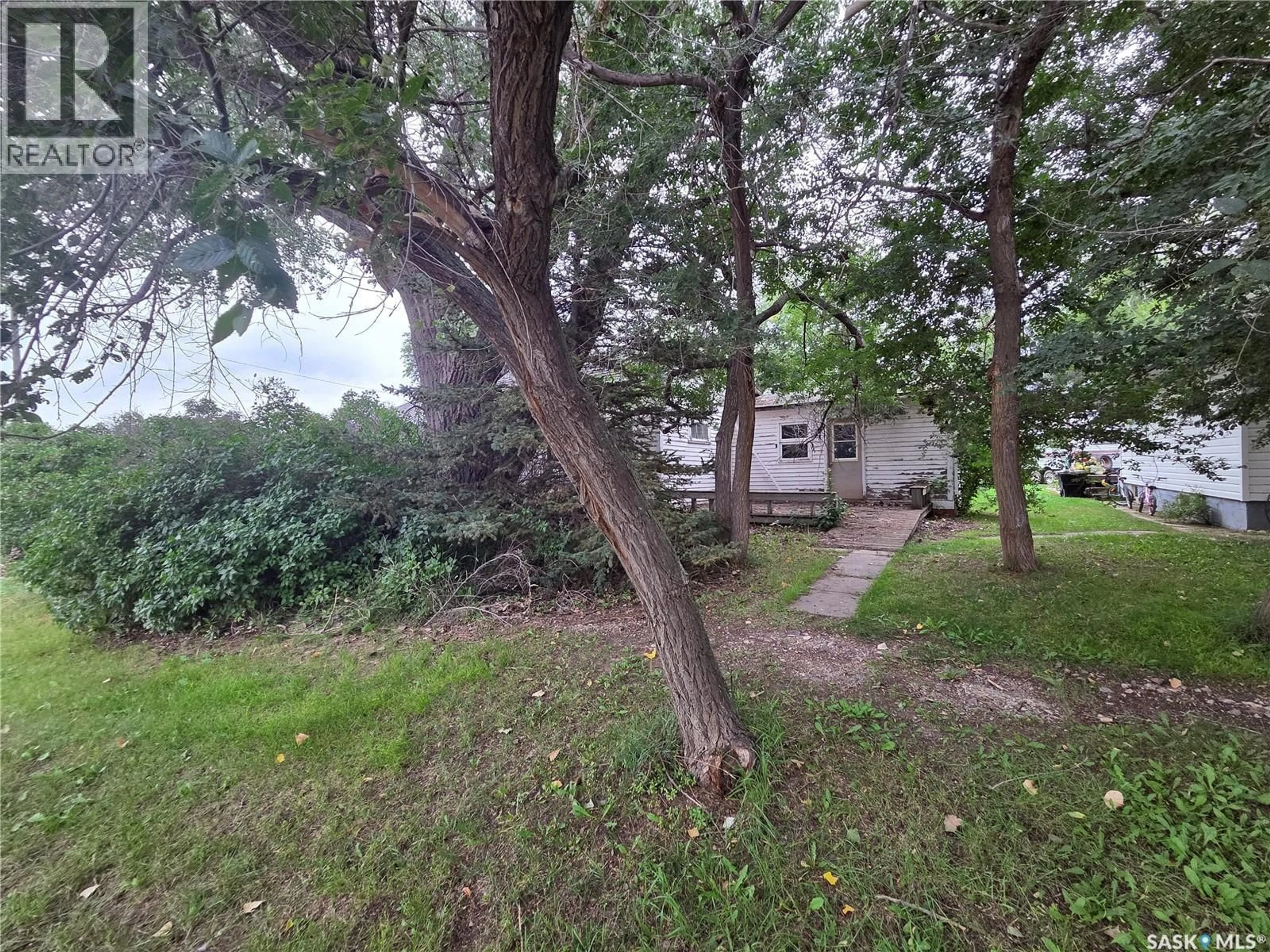 A pic from outside/outdoor area/front of a property/back of a property/a pic from drone, forest/trees view for 227 MAIN STREET, Hazenmore Saskatchewan S0N1C0