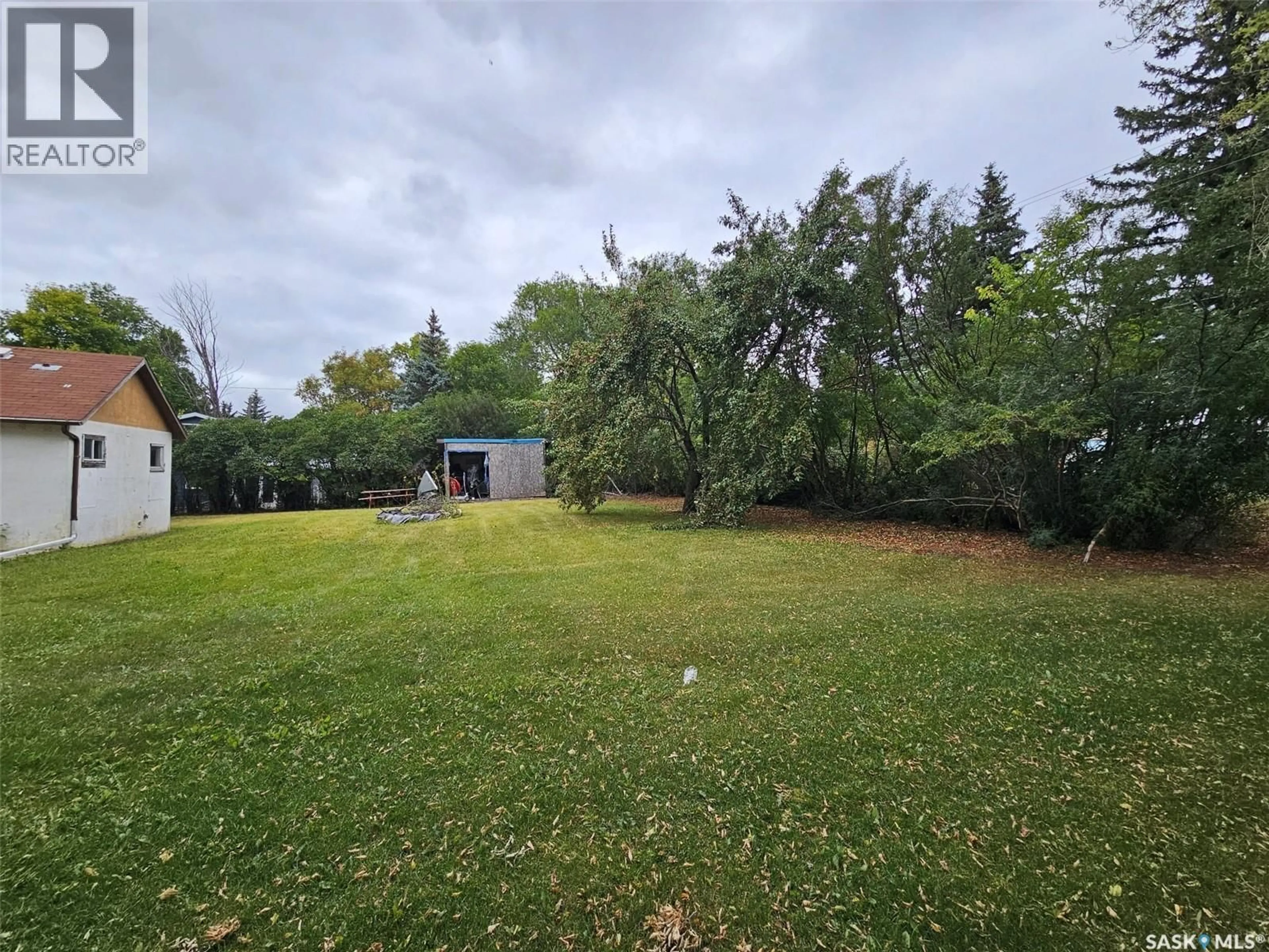 A pic from outside/outdoor area/front of a property/back of a property/a pic from drone, forest/trees view for 207 WALTER STREET, Wawota Saskatchewan S0G5A0