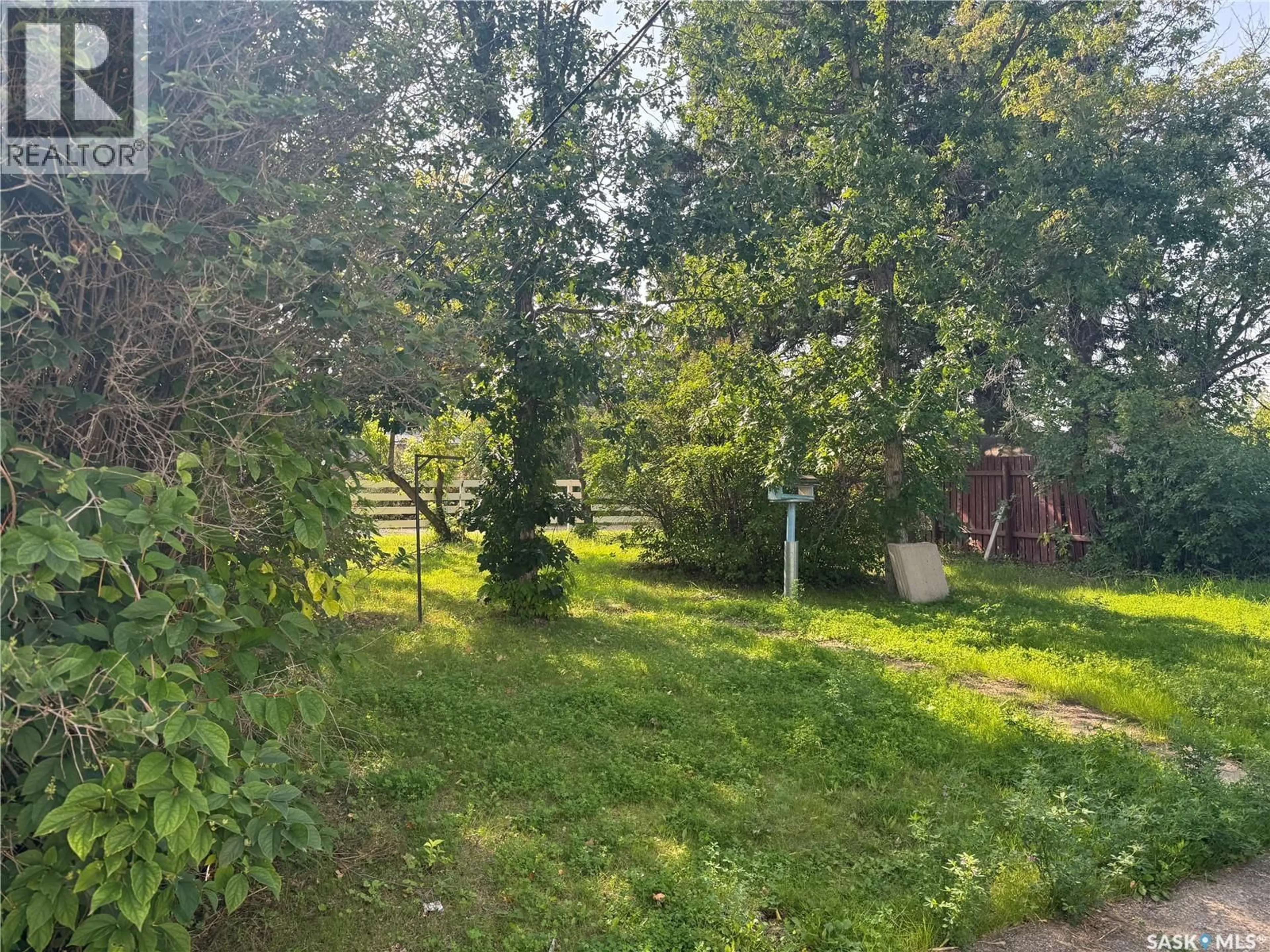 A pic from outside/outdoor area/front of a property/back of a property/a pic from drone, forest/trees view for 218 4TH STREET, Nipawin Saskatchewan S0E1E0