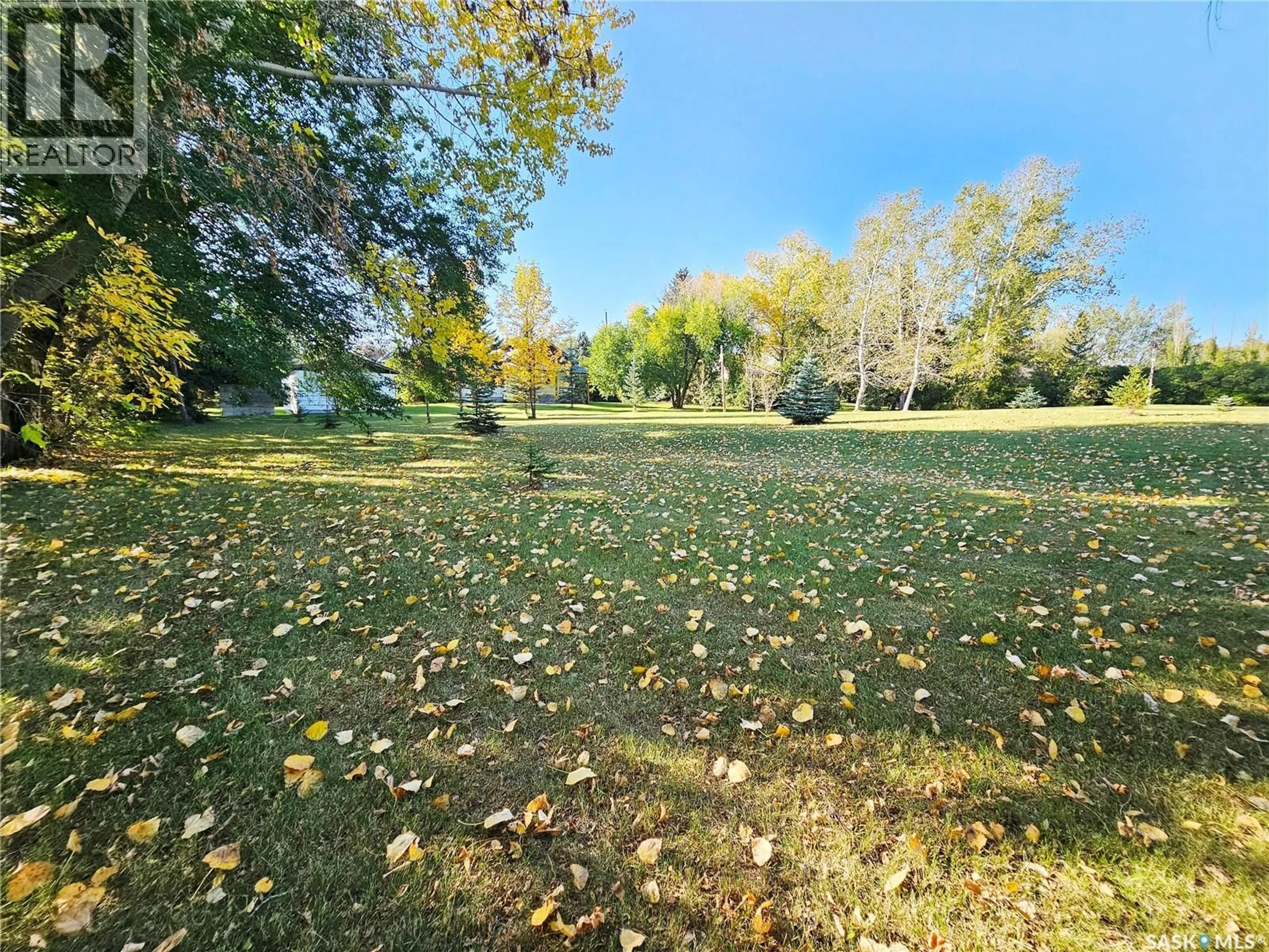 A pic from outside/outdoor area/front of a property/back of a property/a pic from drone, forest/trees view for 24 JOSEPH STREET, Dubuc Saskatchewan S0A0R0