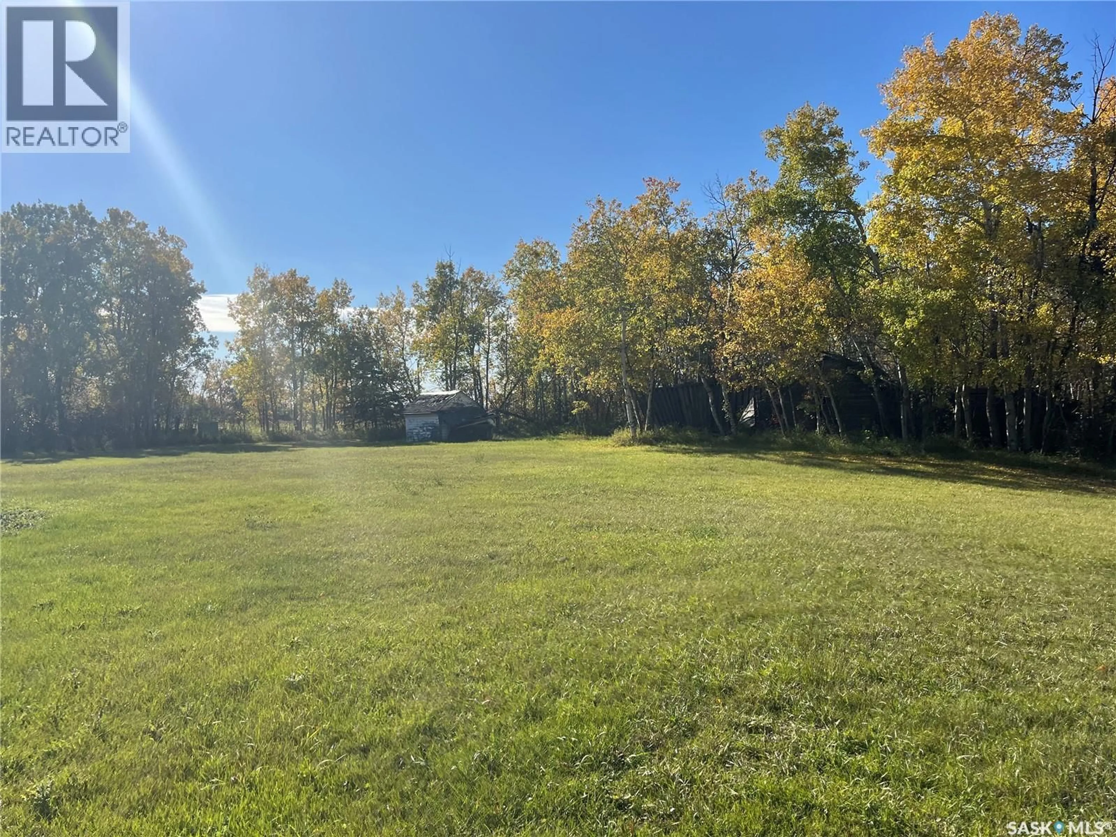 A pic from outside/outdoor area/front of a property/back of a property/a pic from drone, forest/trees view for 221 2ND AVENUE, Margo Saskatchewan S0A2M0