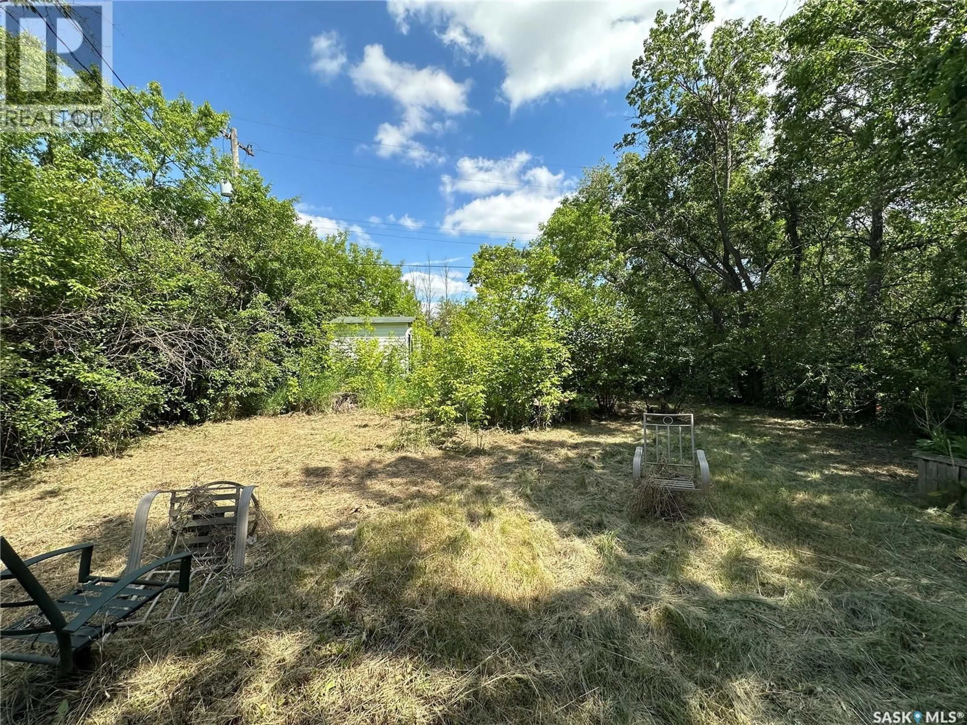 A pic from outside/outdoor area/front of a property/back of a property/a pic from drone, forest/trees view for 48 HELENA STREET, Prud'homme Saskatchewan S0K3K0