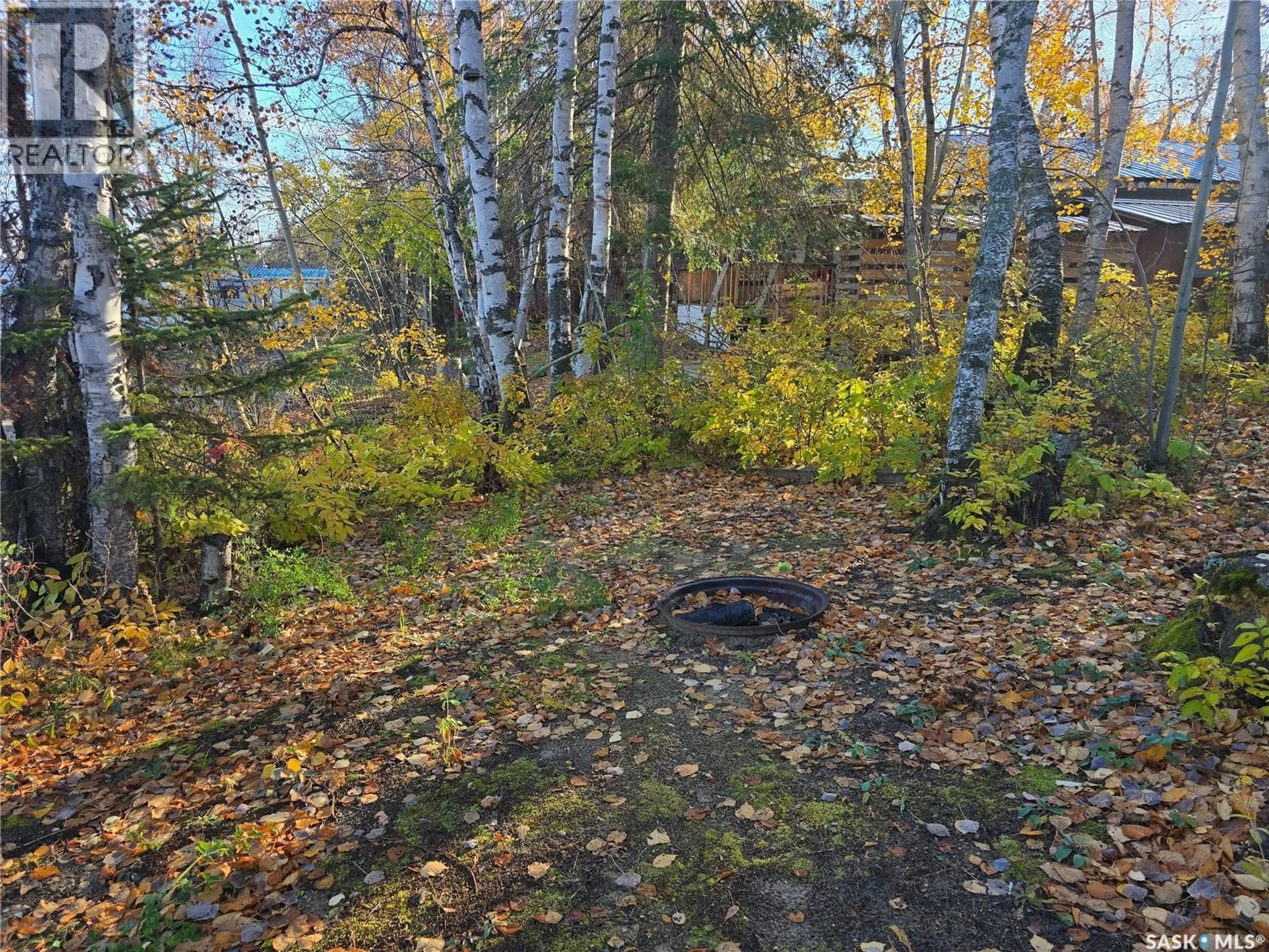 A pic from outside/outdoor area/front of a property/back of a property/a pic from drone, forest/trees view for 207 PINE DRIVE, Tobin Lake Saskatchewan S0E1E0