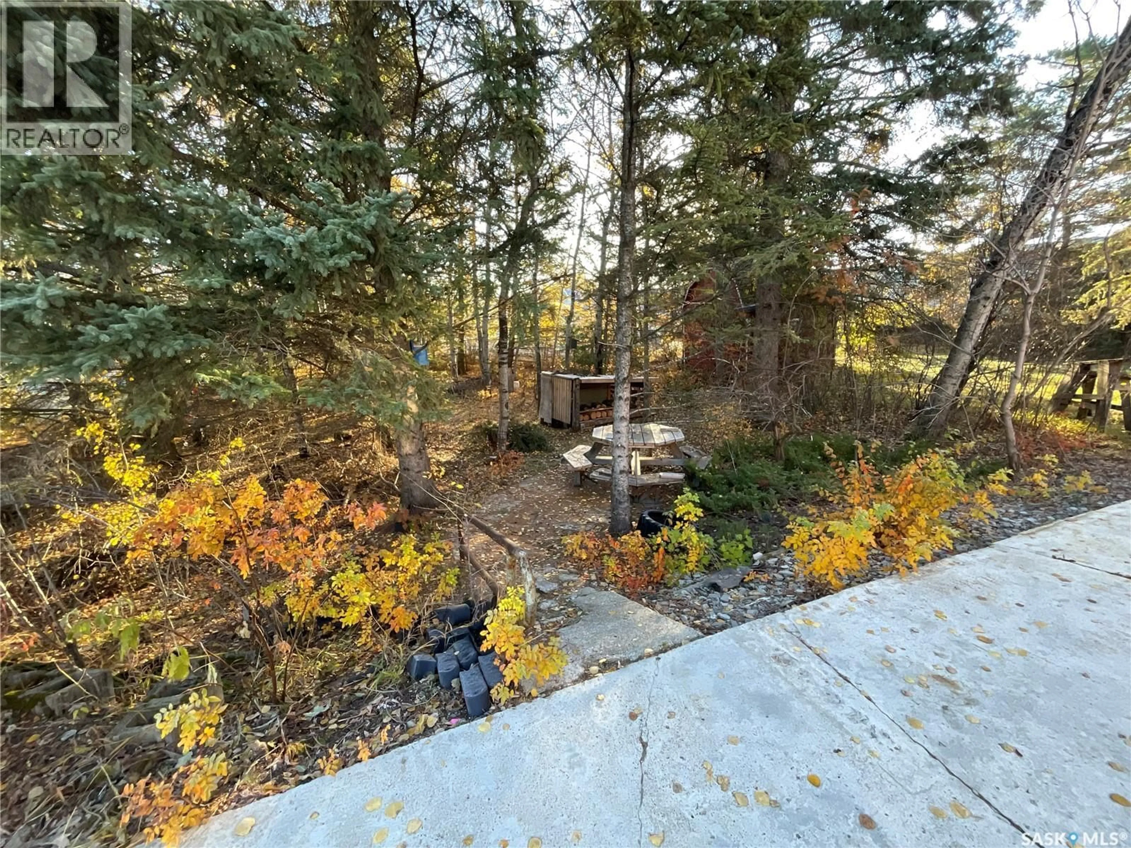 A pic from outside/outdoor area/front of a property/back of a property/a pic from drone, forest/trees view for 67 CENTRAL STREET, Weldon Saskatchewan S0J3A0