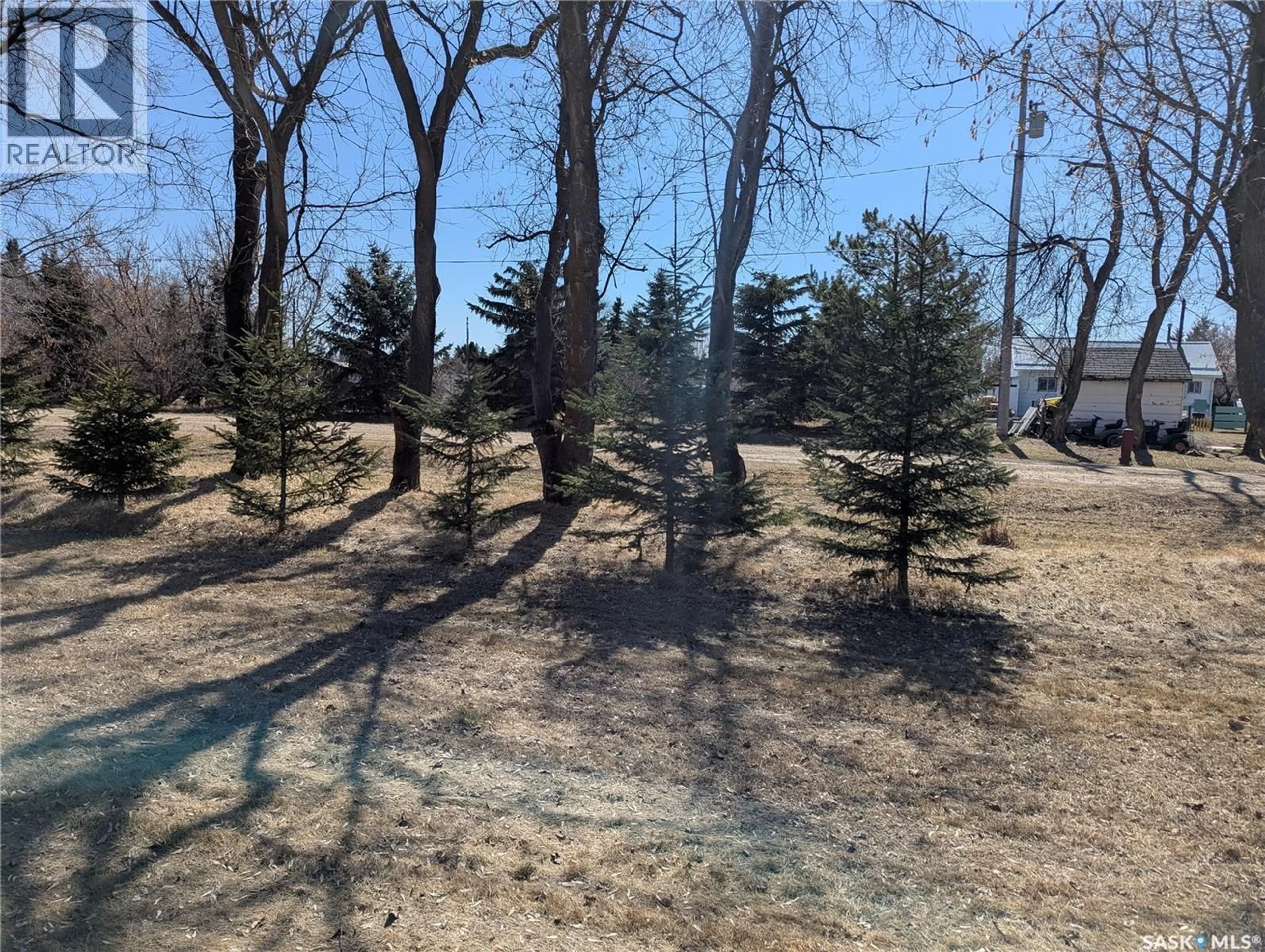 A pic from outside/outdoor area/front of a property/back of a property/a pic from drone, forest/trees view for 129 LEMIEUX CRESCENT, Leoville Saskatchewan S0J1N0