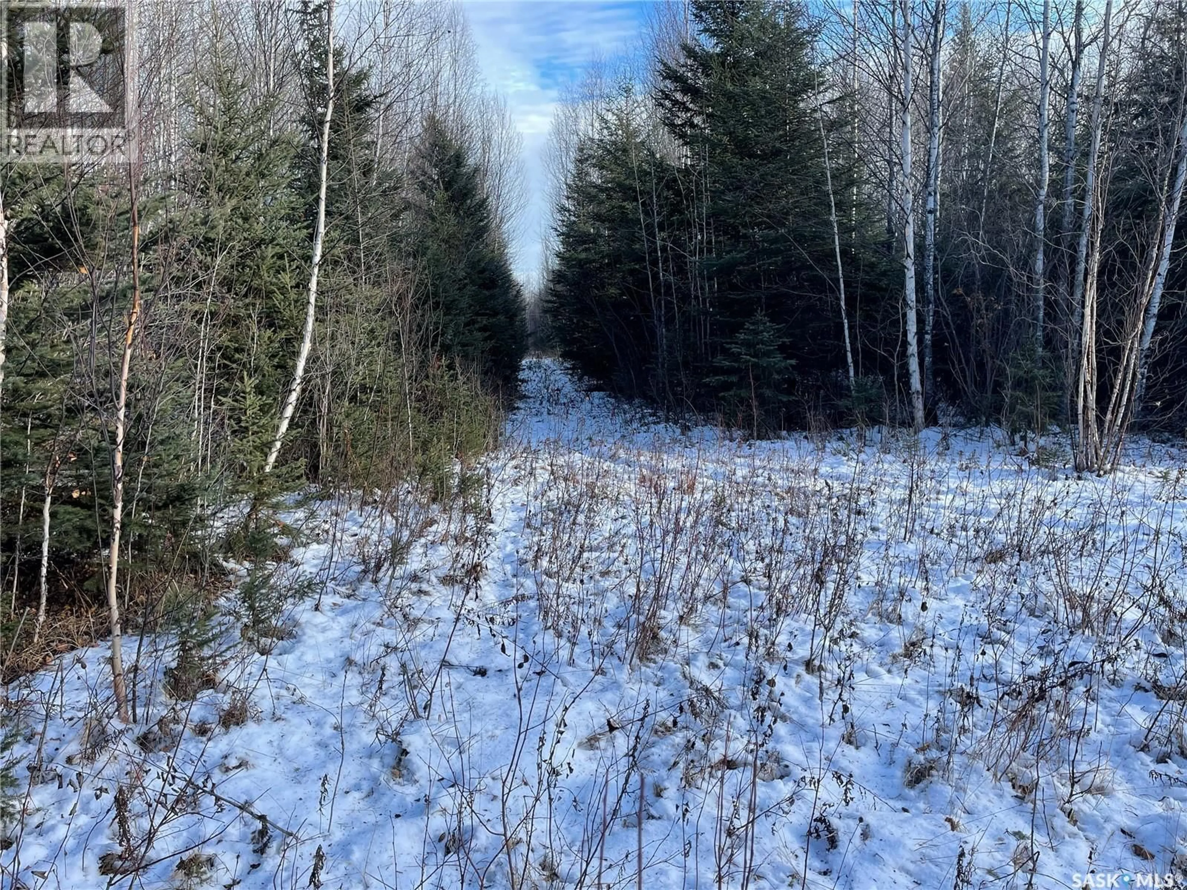 Blurry image for PEIFER N CABIN LEASE, Hudson Bay Rm No. 394 Saskatchewan S0E0Y0