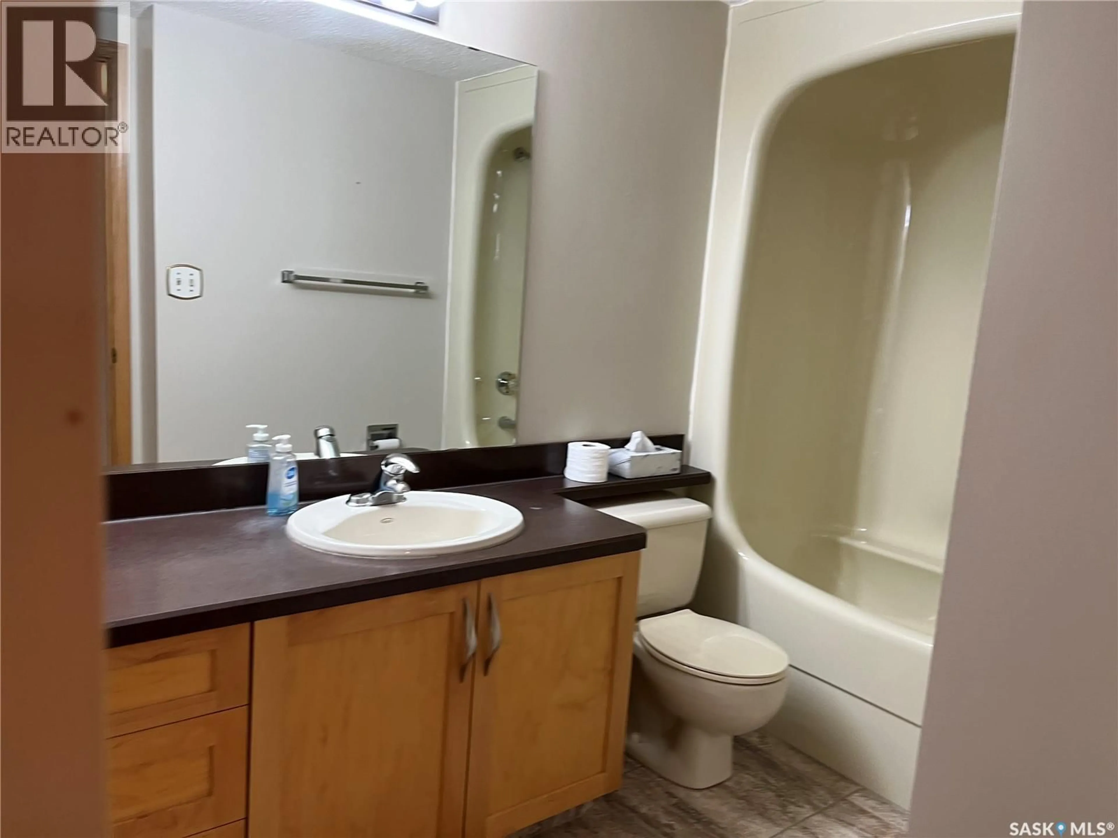 Standard bathroom, floor is not visible for 239 908 ASSINIBOINE AVENUE E, Regina Saskatchewan S4V2P8