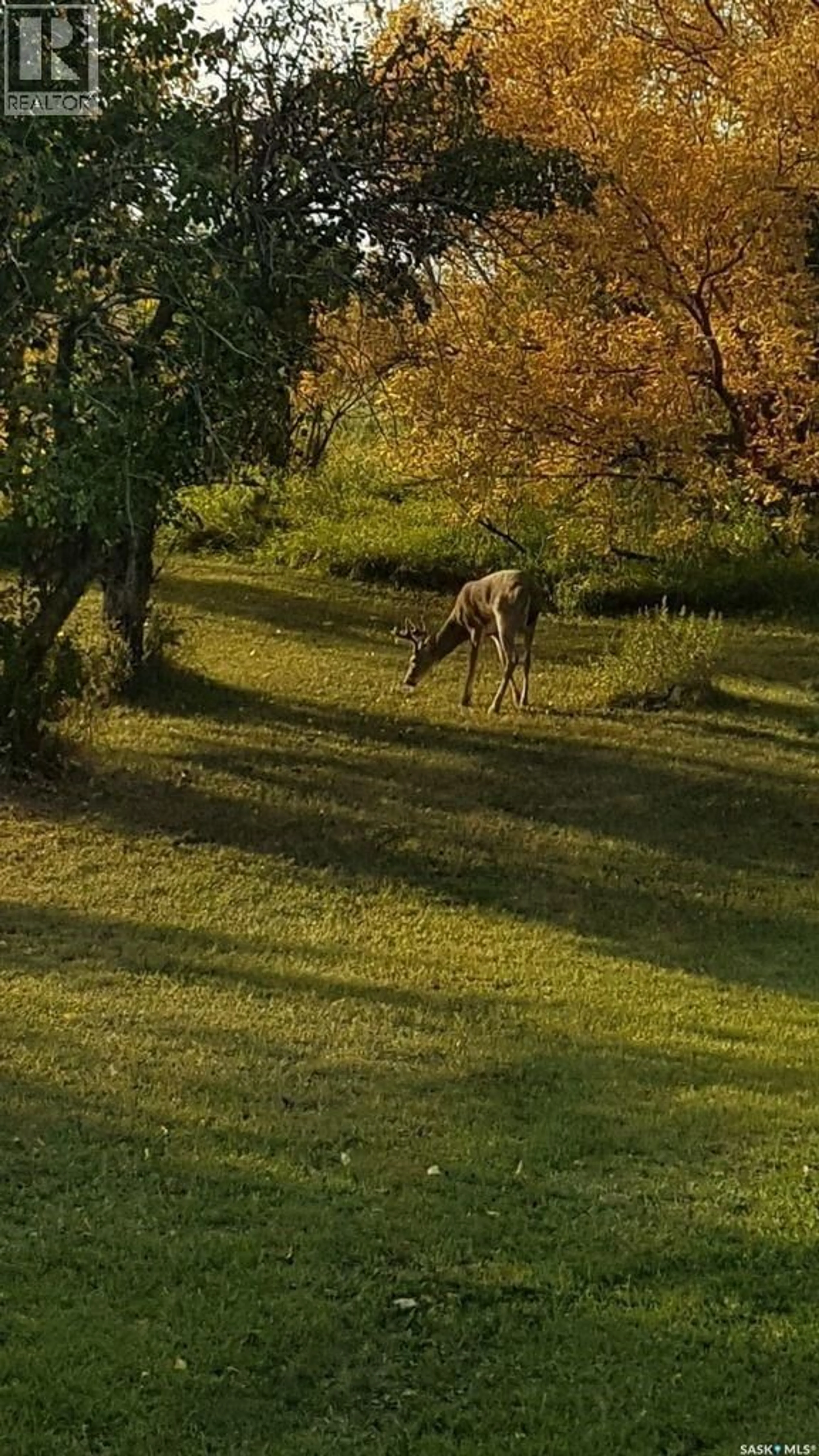 Blurry image for 1000 RAILWAY AVENUE, Foam Lake Saskatchewan S0A1A0