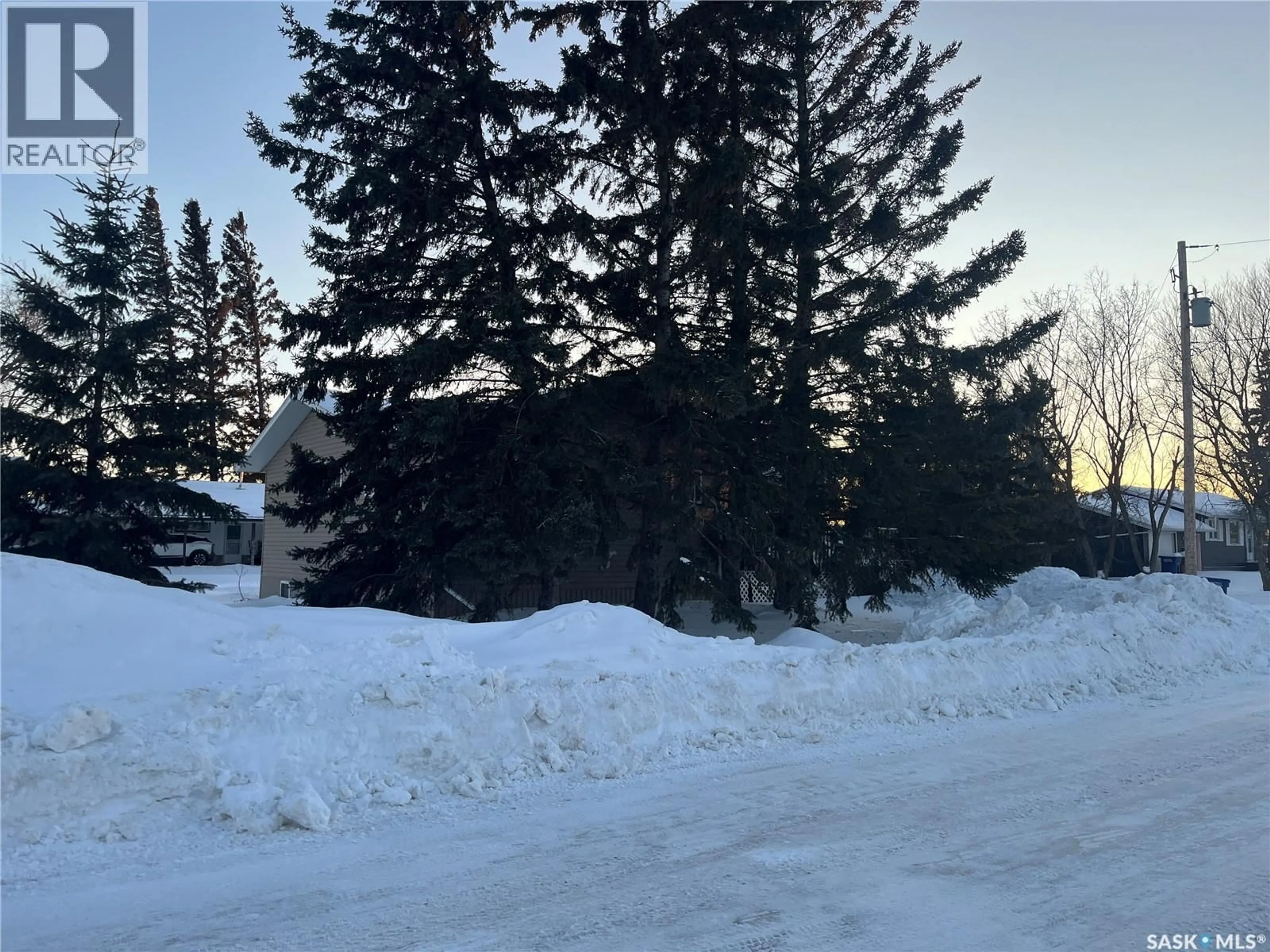 Parking for 100 1ST AVENUE, Wadena Saskatchewan S0A4J0