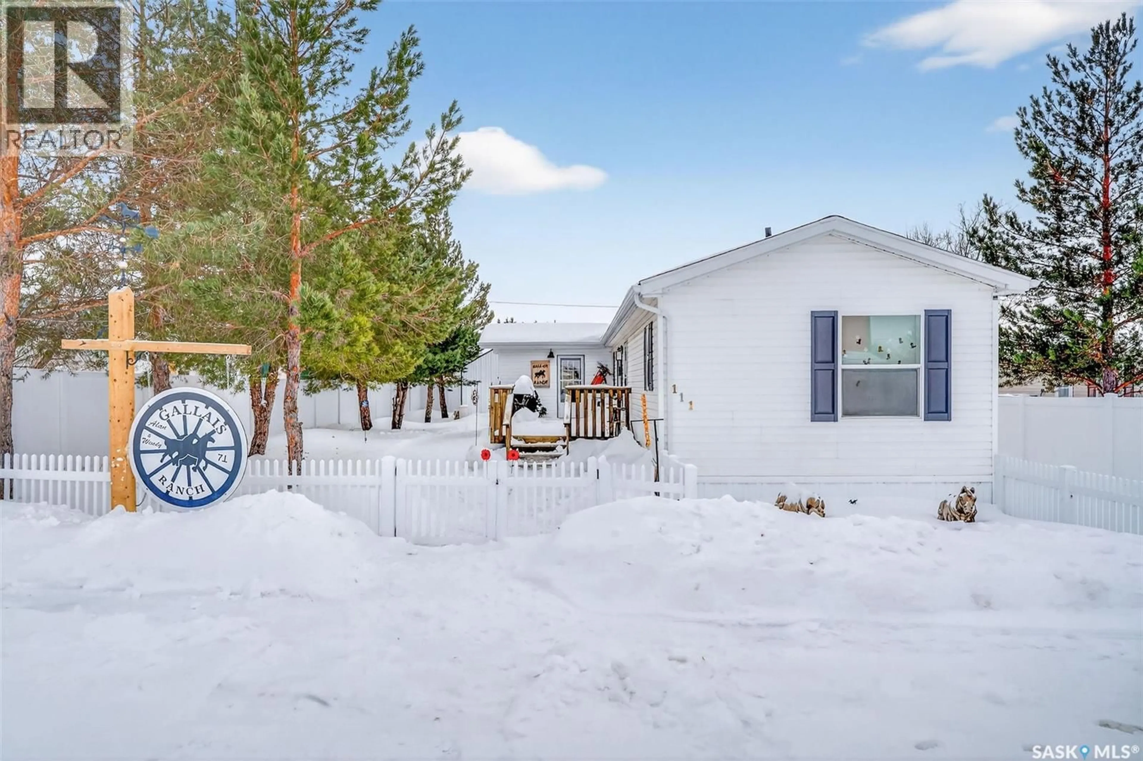 A pic from outside/outdoor area/front of a property/back of a property/a pic from drone, street for 111 MAIN STREET, St. Brieux Saskatchewan S0K3V0