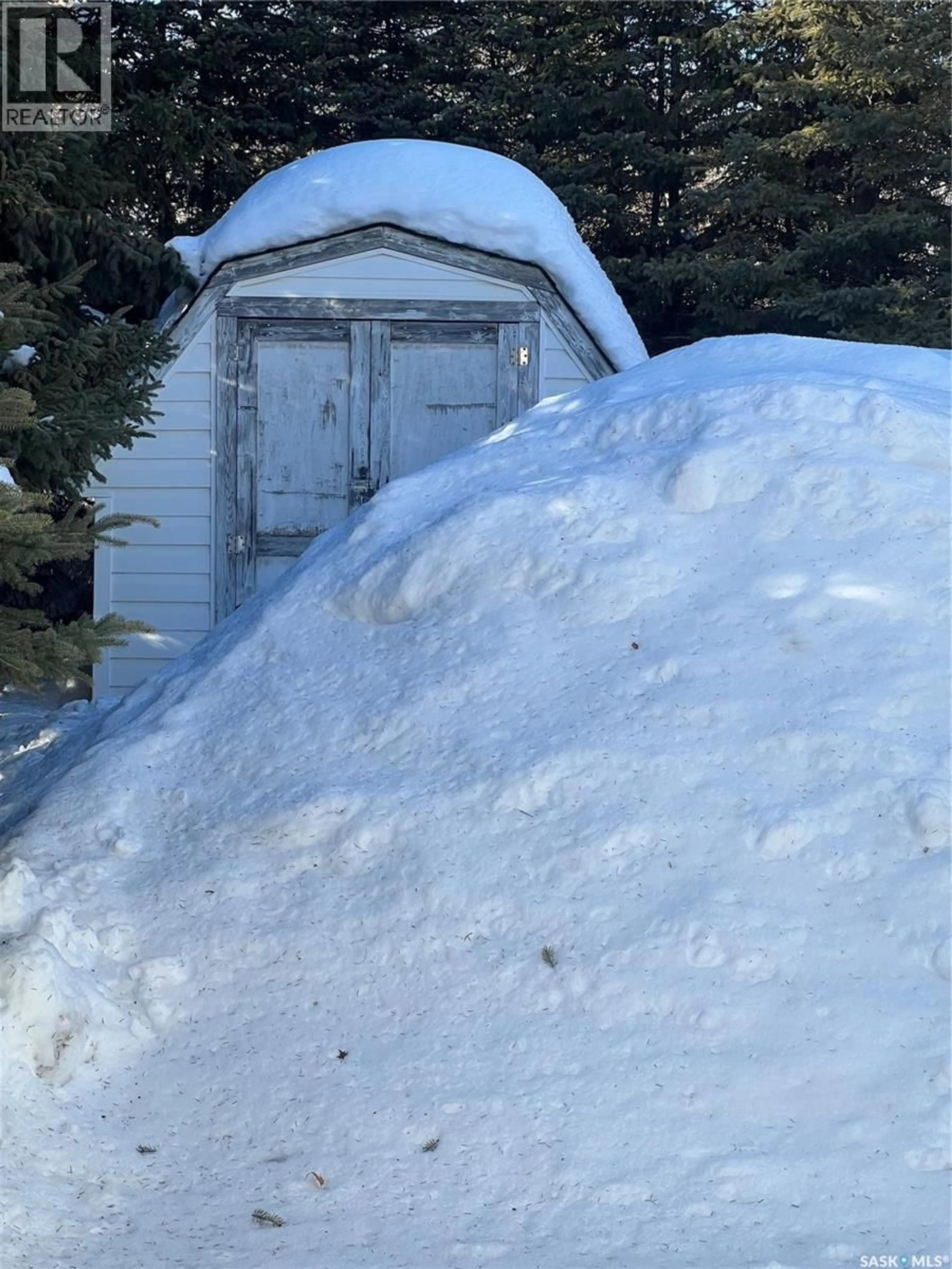 Shed for 322 OAK STREET, Porcupine Plain Saskatchewan S0E1H0