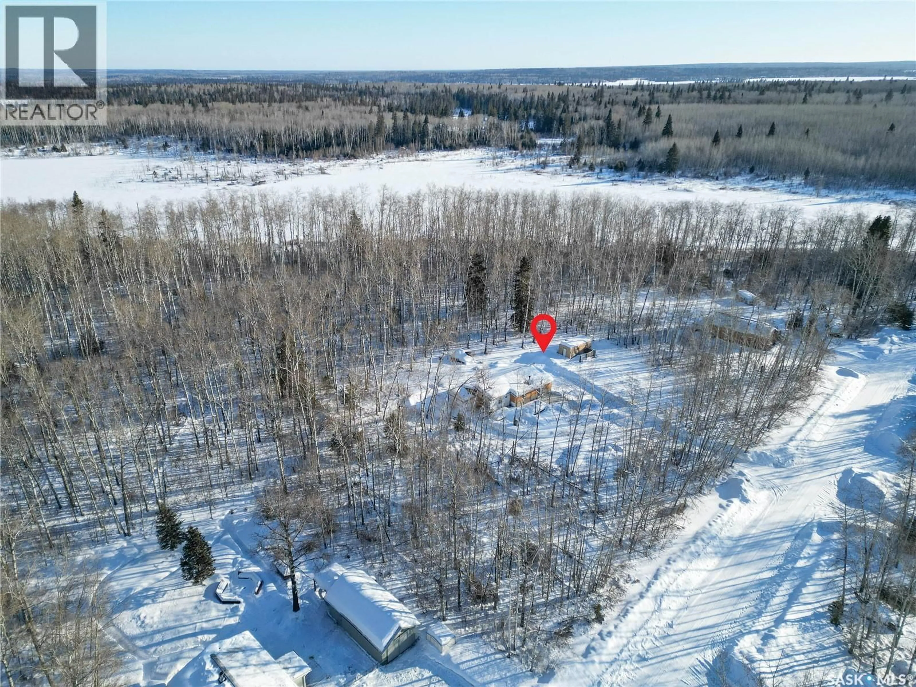 A pic from outside/outdoor area/front of a property/back of a property/a pic from drone, forest/trees view for 207 BROWN STREET, Paddockwood Rm No. 520 Saskatchewan S0J0N0