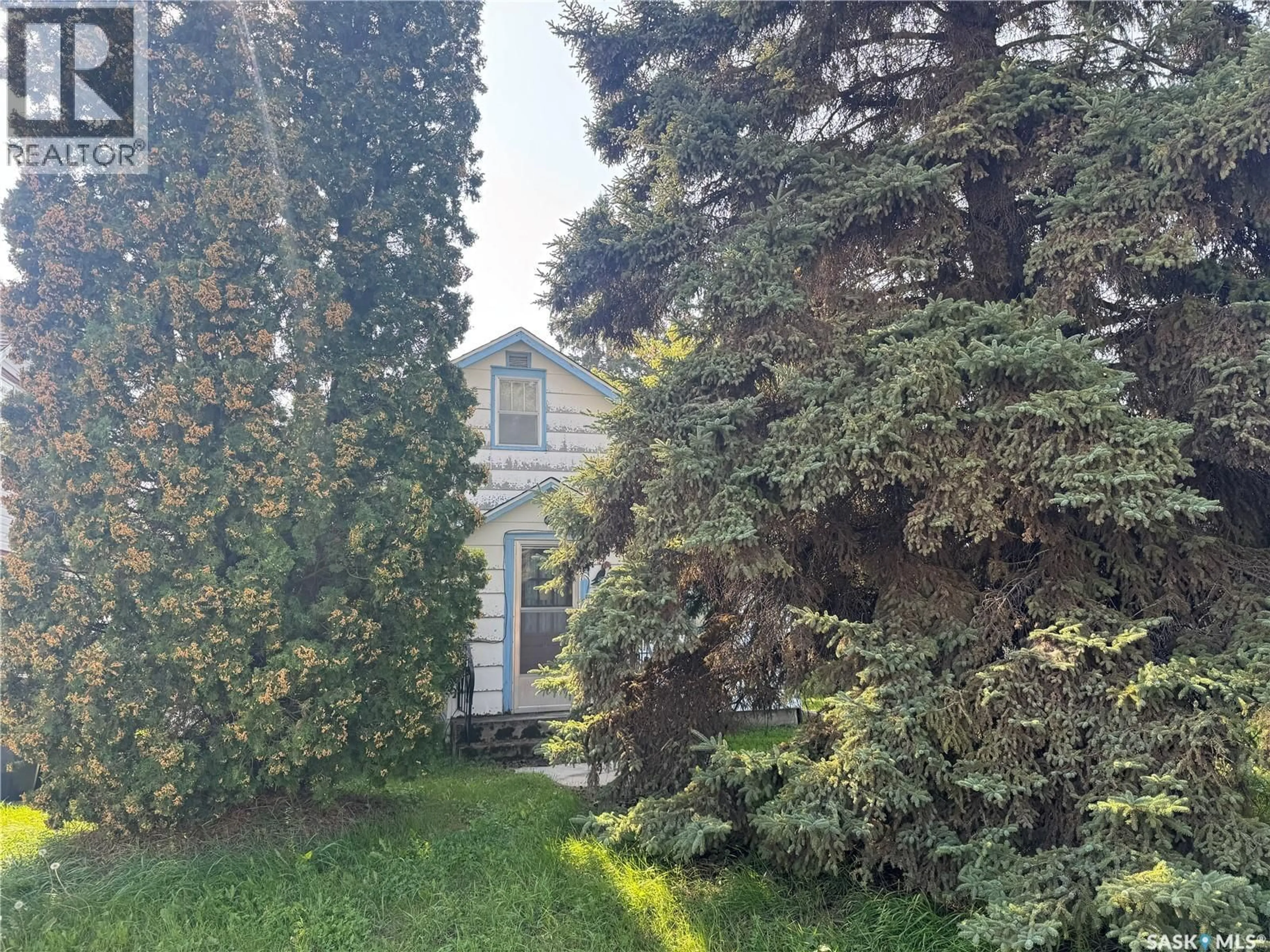 A pic from outside/outdoor area/front of a property/back of a property/a pic from drone, forest/trees view for 218 4TH STREET, Nipawin Saskatchewan S0E1E0