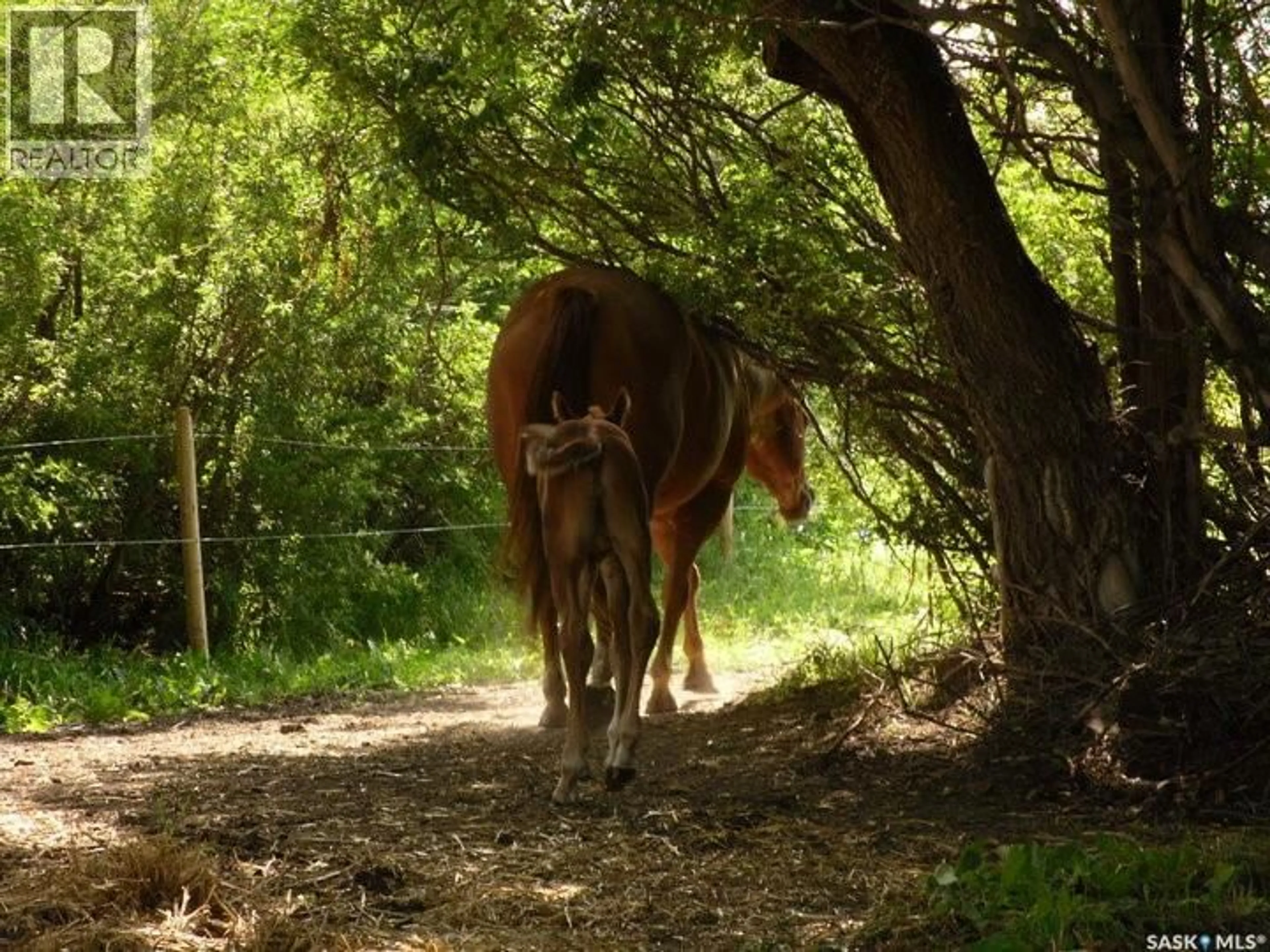 Blurry image for 312 GOLLING STREET, Lemberg Saskatchewan S0A2B0