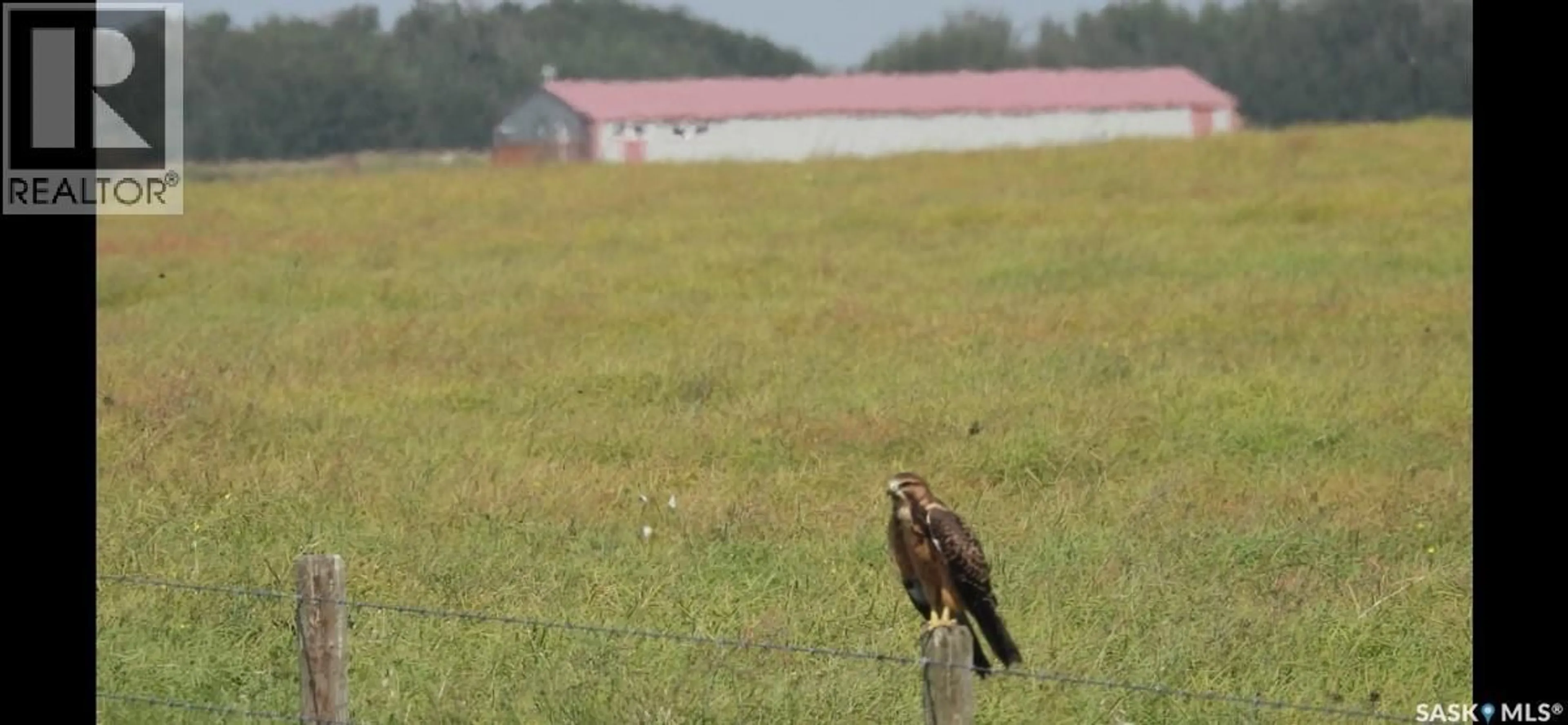 Blurry image for 40502 RGE RD 3025, Aberdeen Rm No. 373 Saskatchewan S0K0A0