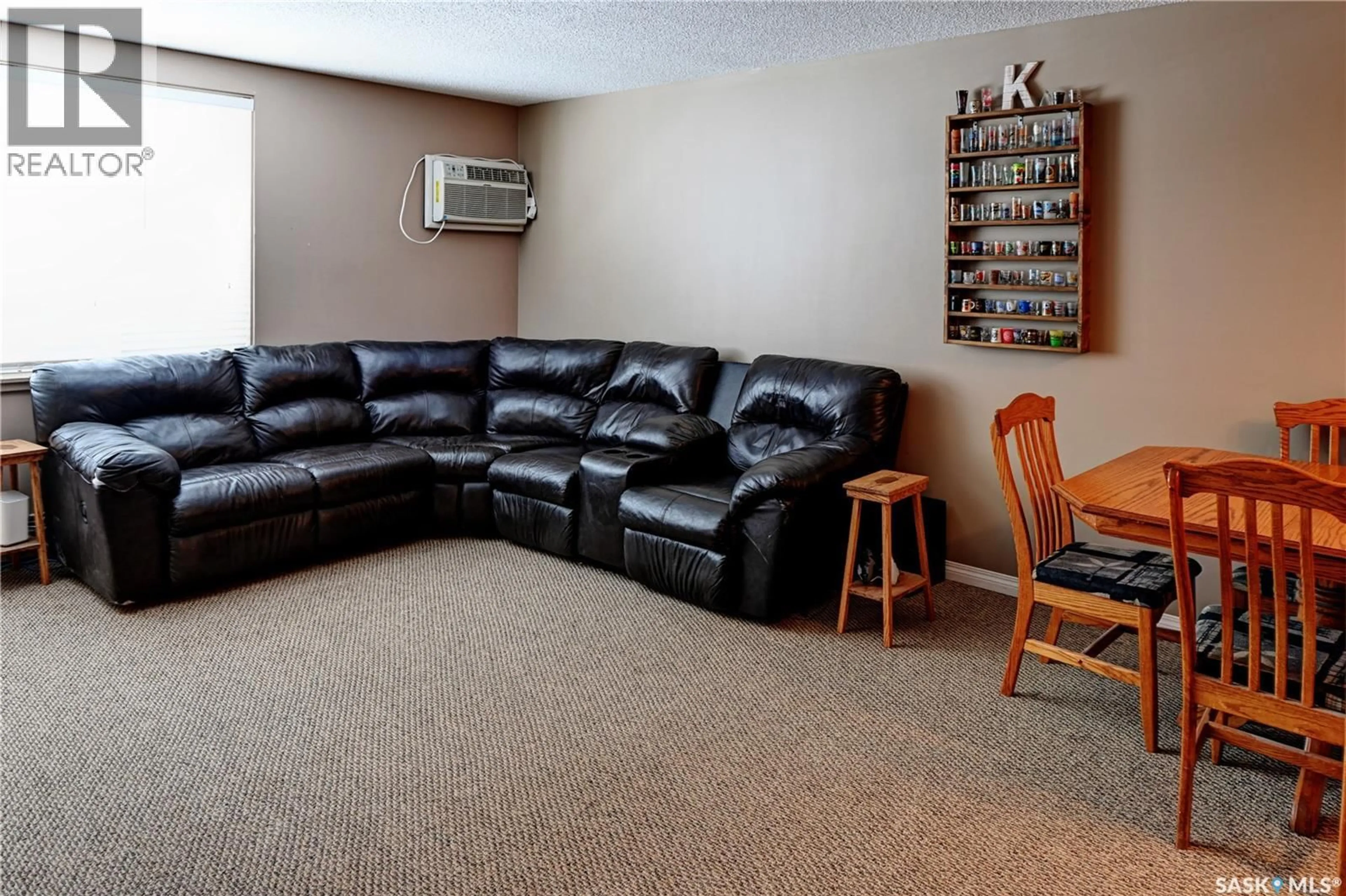Living room with furniture, carpet floor for N - 317 1223 7TH AVENUE, Saskatoon Saskatchewan S7K2W1
