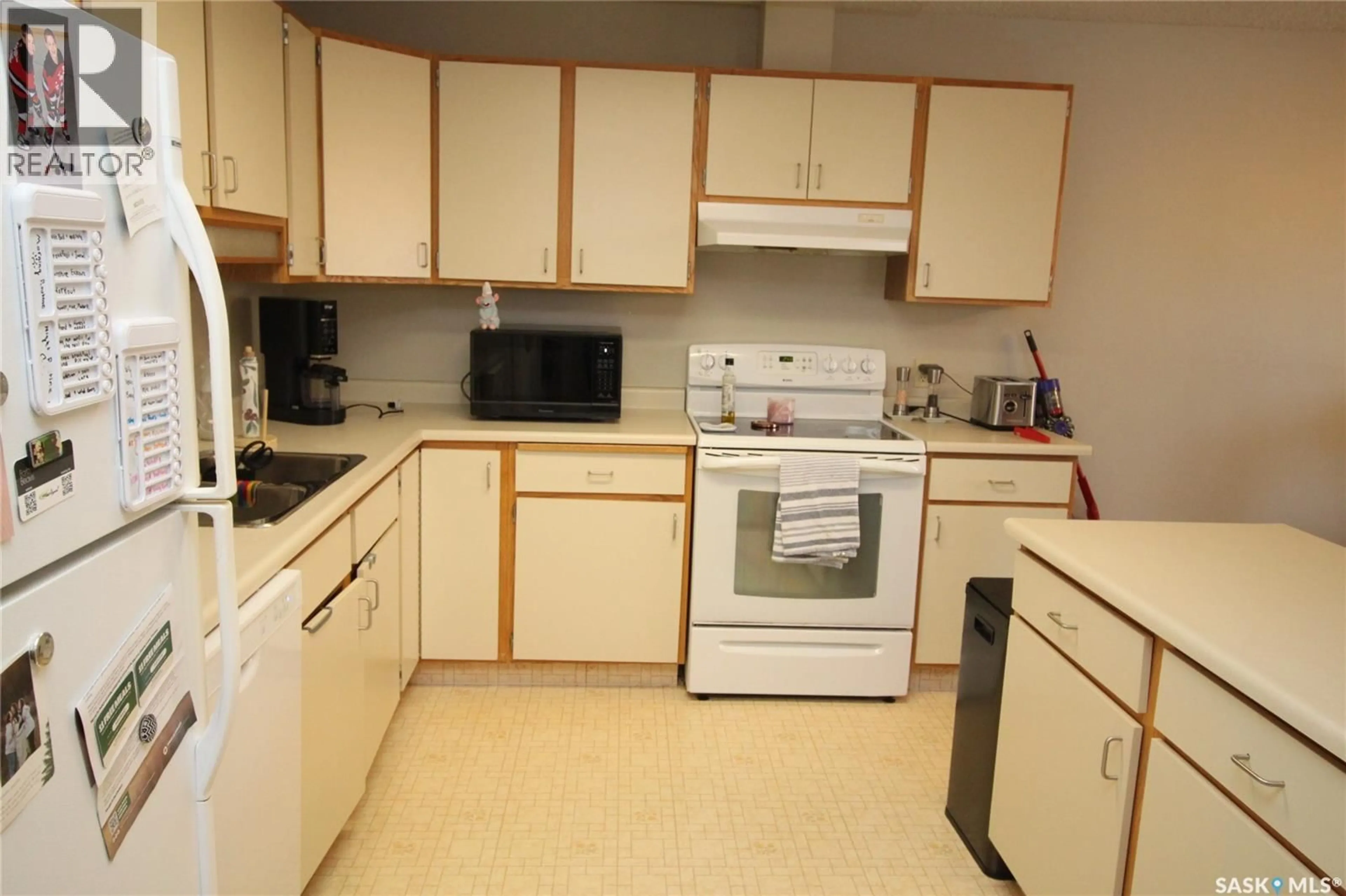 Standard kitchen, unknown for 203 - 1008 TEMPERANCE STREET, Saskatoon Saskatchewan S7N0N6
