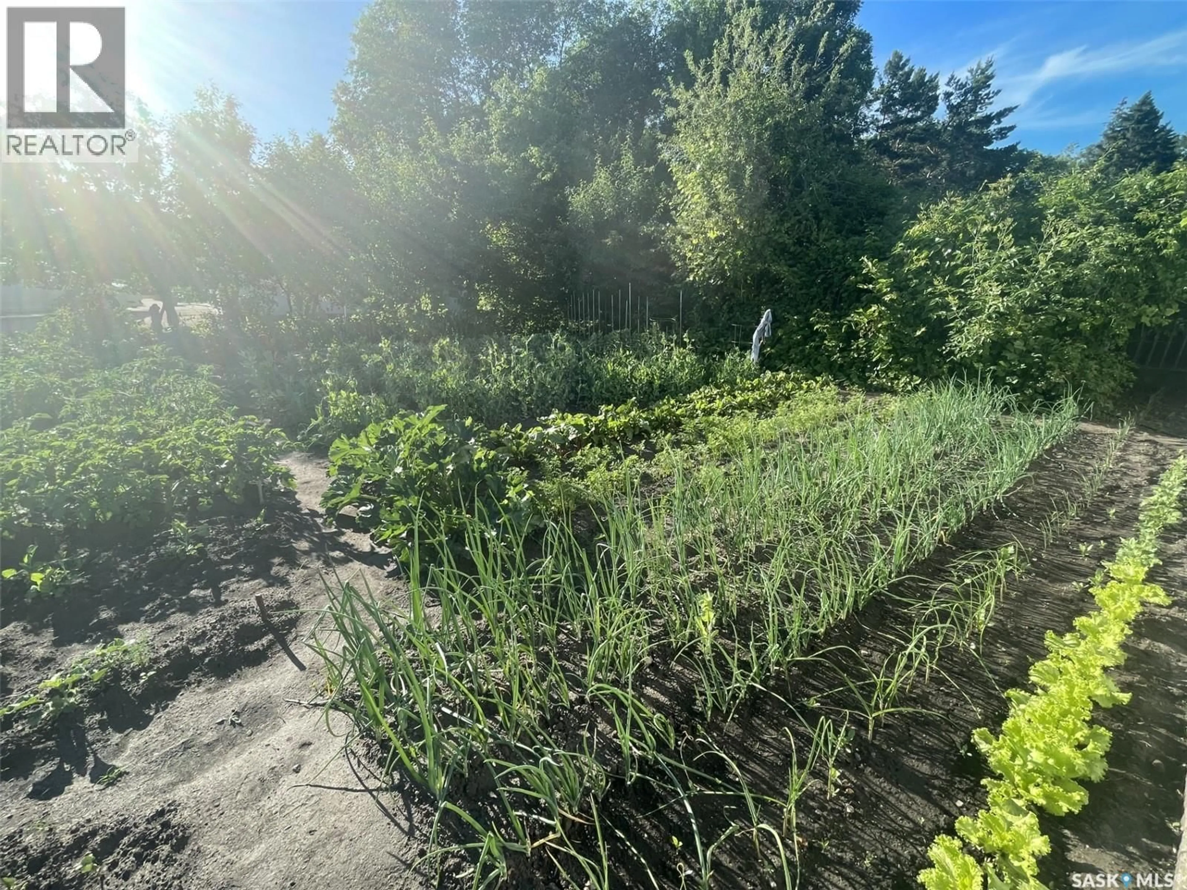 A pic from outside/outdoor area/front of a property/back of a property/a pic from drone, forest/trees view for 38 ROSEFIELD DRIVE, Yorkton Saskatchewan S3N2R4