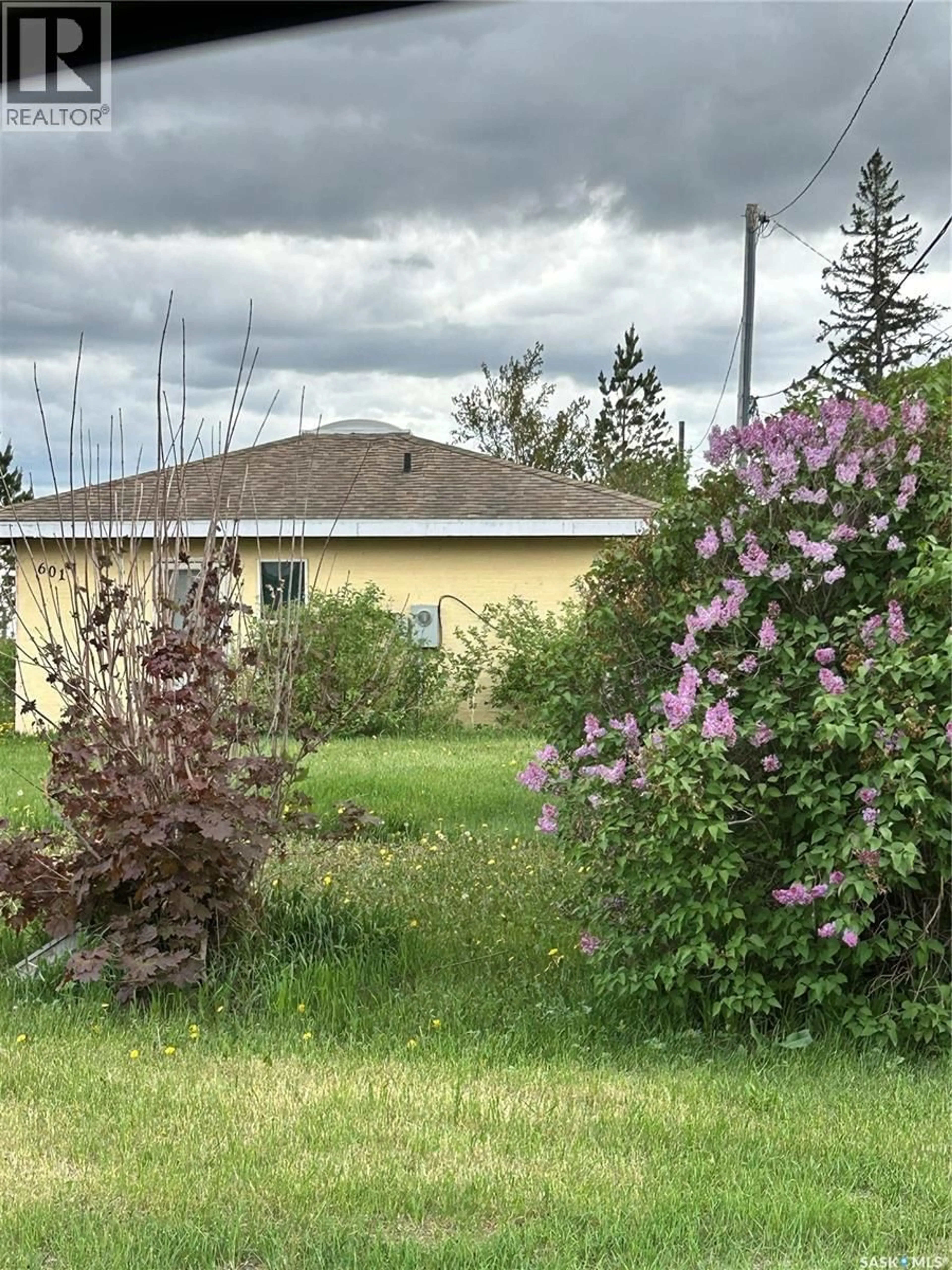 Shed for 601 COLBORNE AVENUE, Viscount Saskatchewan S0K4M0