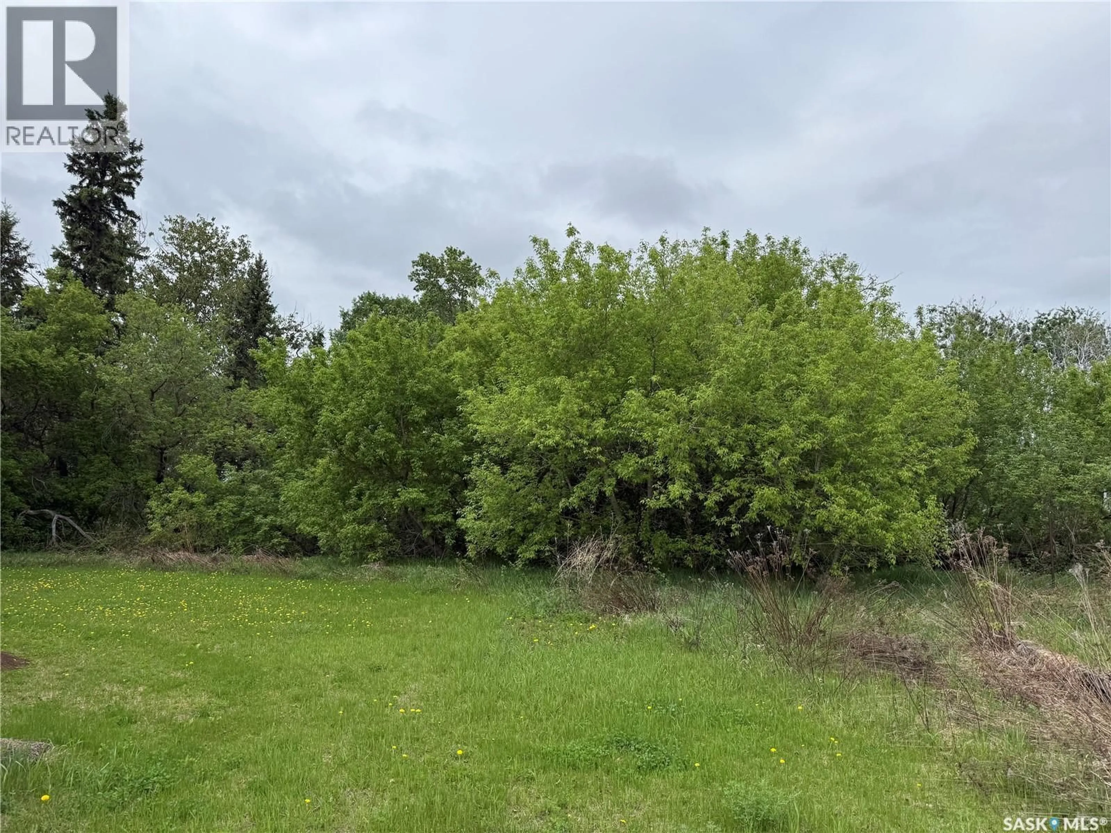 A pic from outside/outdoor area/front of a property/back of a property/a pic from drone, forest/trees view for LAROSE ACREAGE, Torch River Rm No. 488 Saskatchewan S0J3B0