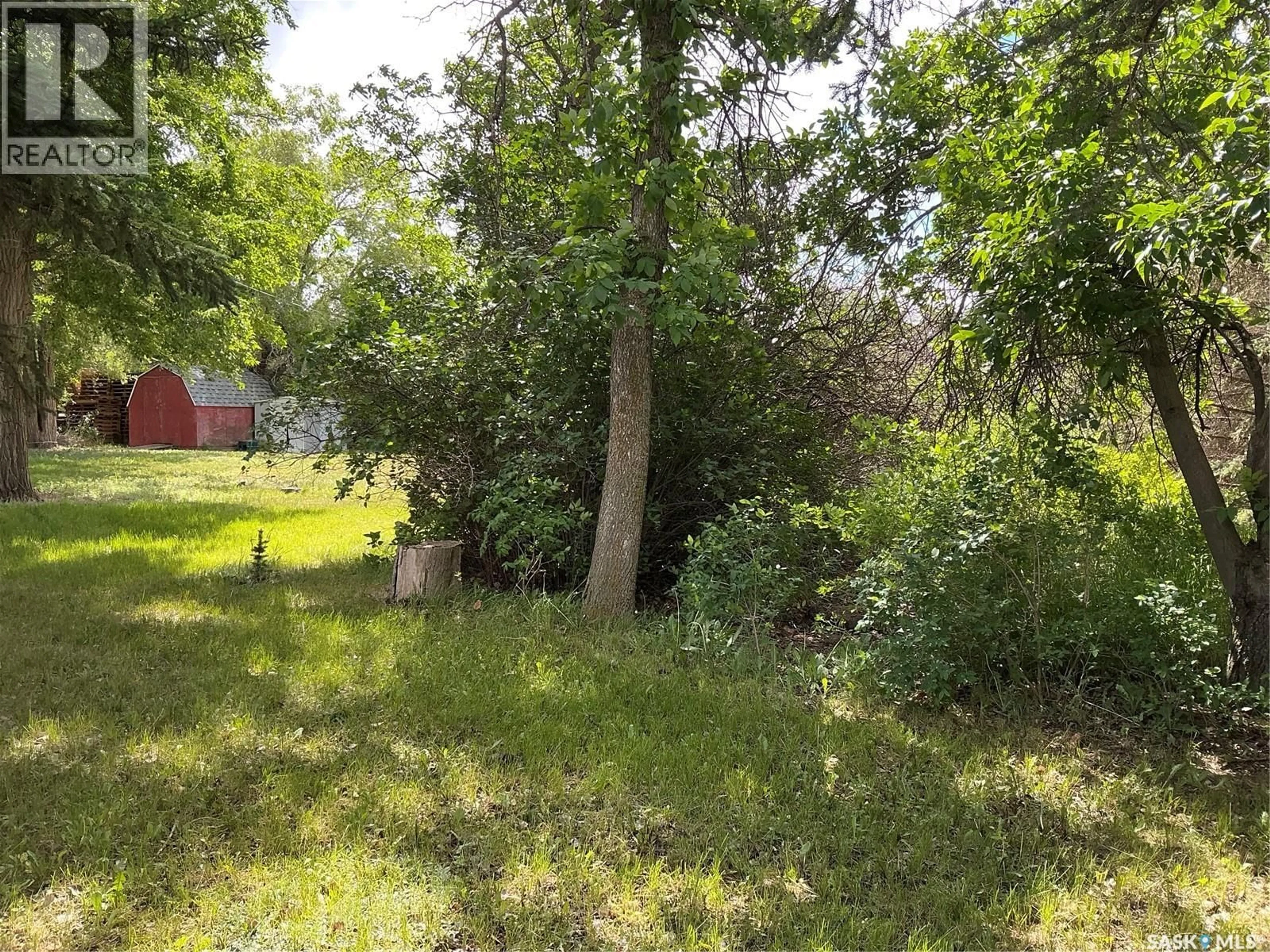 A pic from outside/outdoor area/front of a property/back of a property/a pic from drone, forest/trees view for 325 CENTRE STREET, Coronach Saskatchewan S0H0Z0