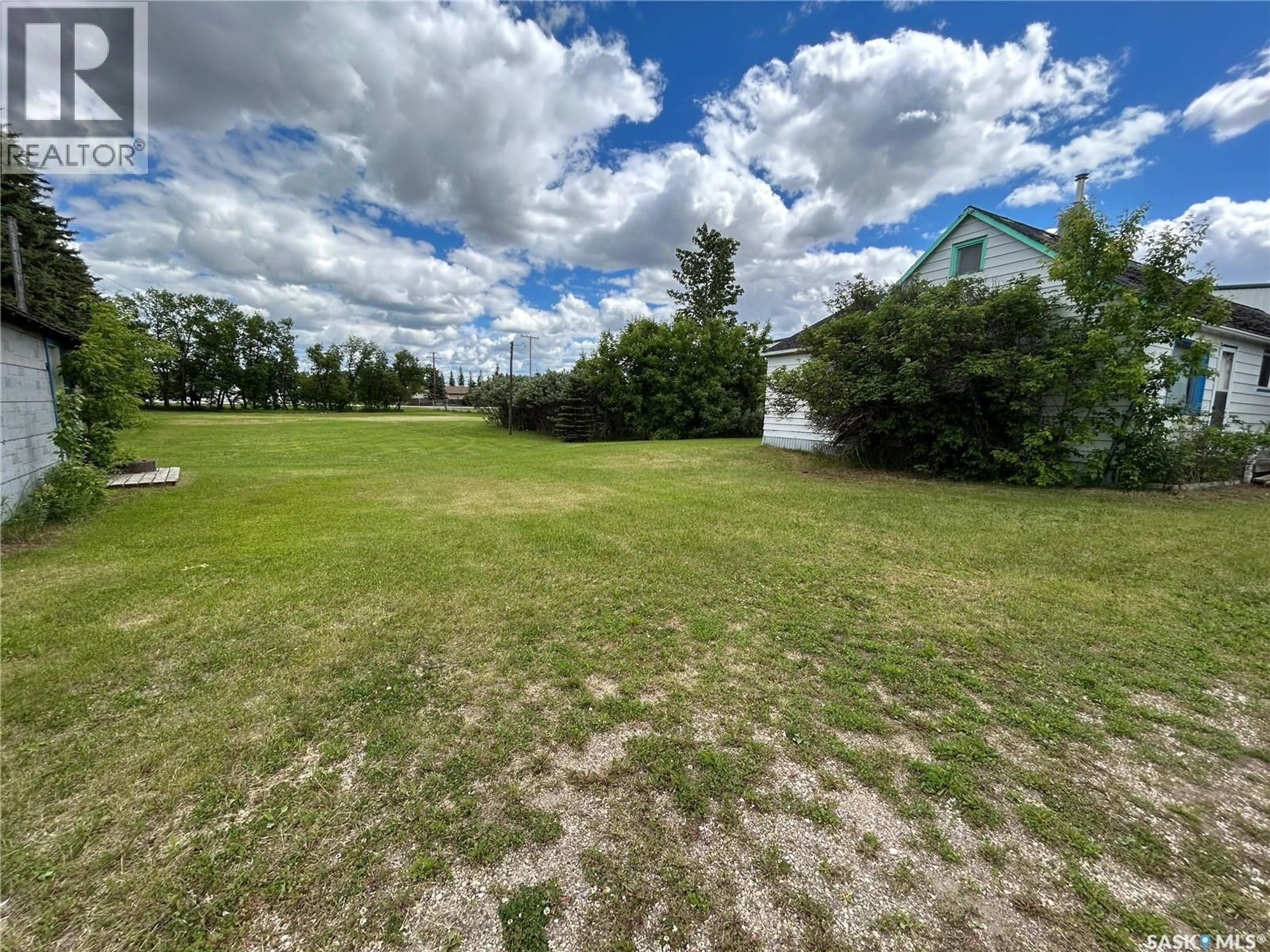 A pic from outside/outdoor area/front of a property/back of a property/a pic from drone, water/lake/river/ocean view for 119 MAIN STREET, Lanigan Saskatchewan S0K2M0