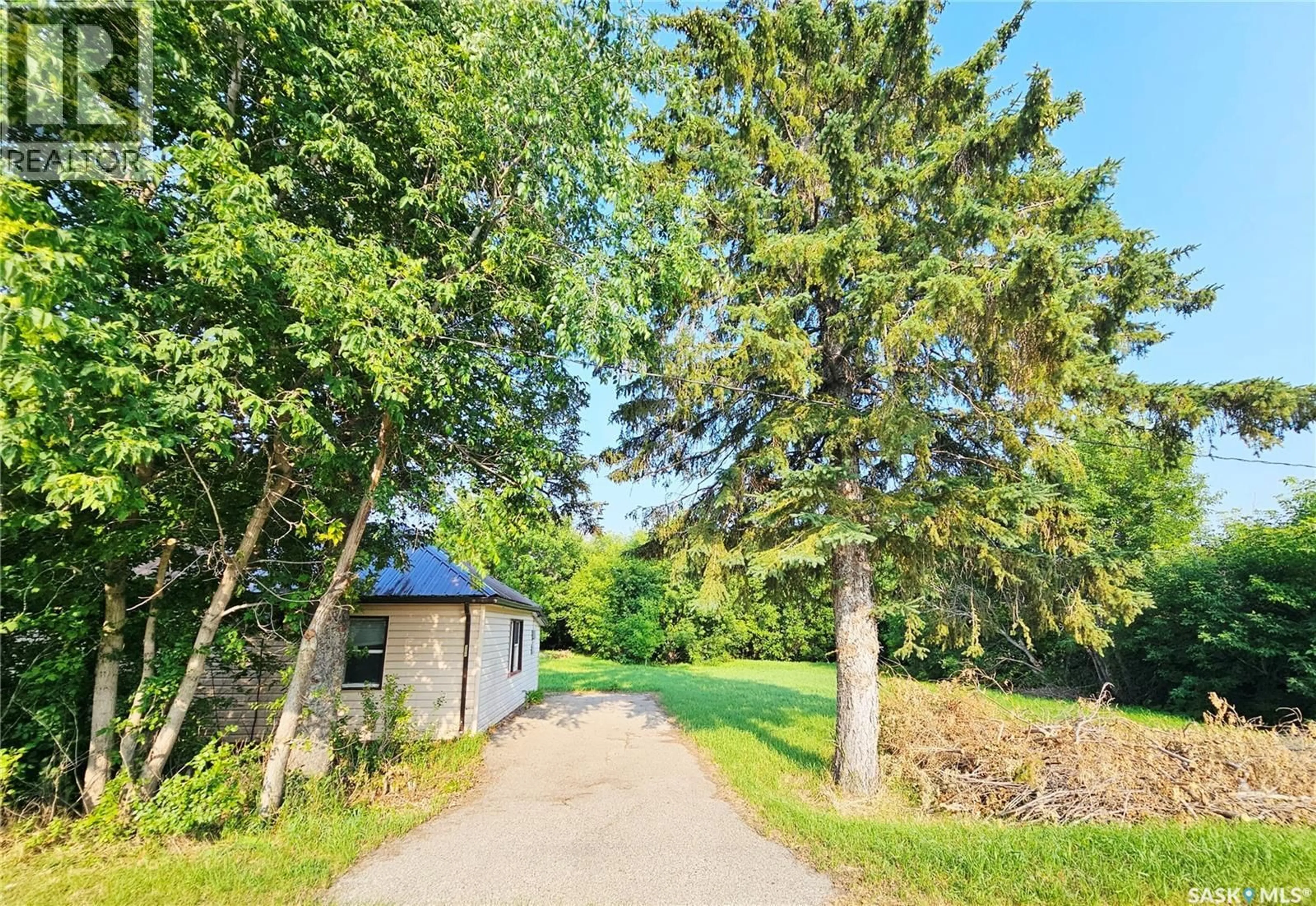 A pic from outside/outdoor area/front of a property/back of a property/a pic from drone, forest/trees view for 509 ST MARY STREET, Esterhazy Saskatchewan S0A0X0