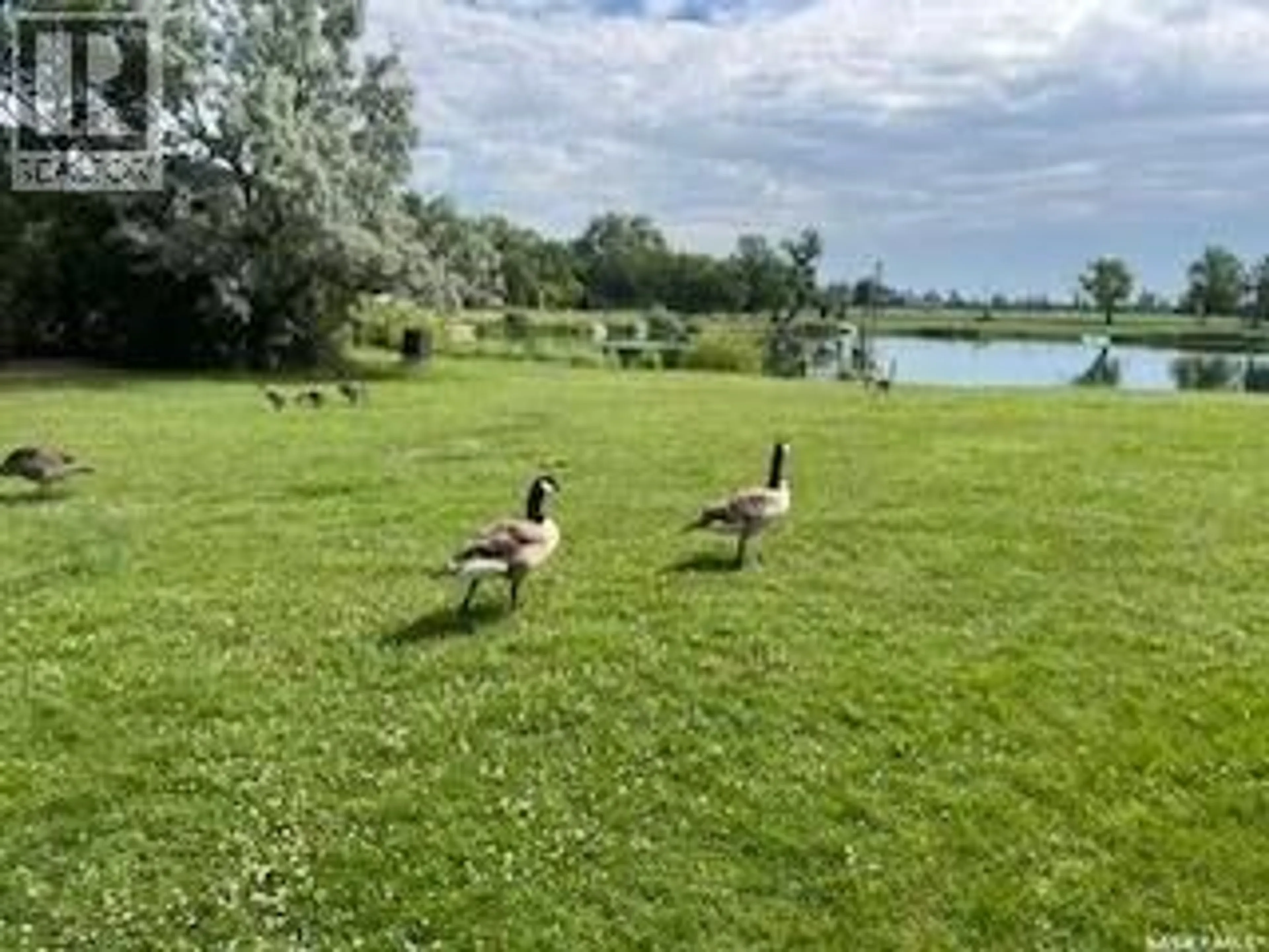 A pic from outside/outdoor area/front of a property/back of a property/a pic from drone, water/lake/river/ocean view for 117 S AVENUE N, Saskatoon Saskatchewan S7L2Z5