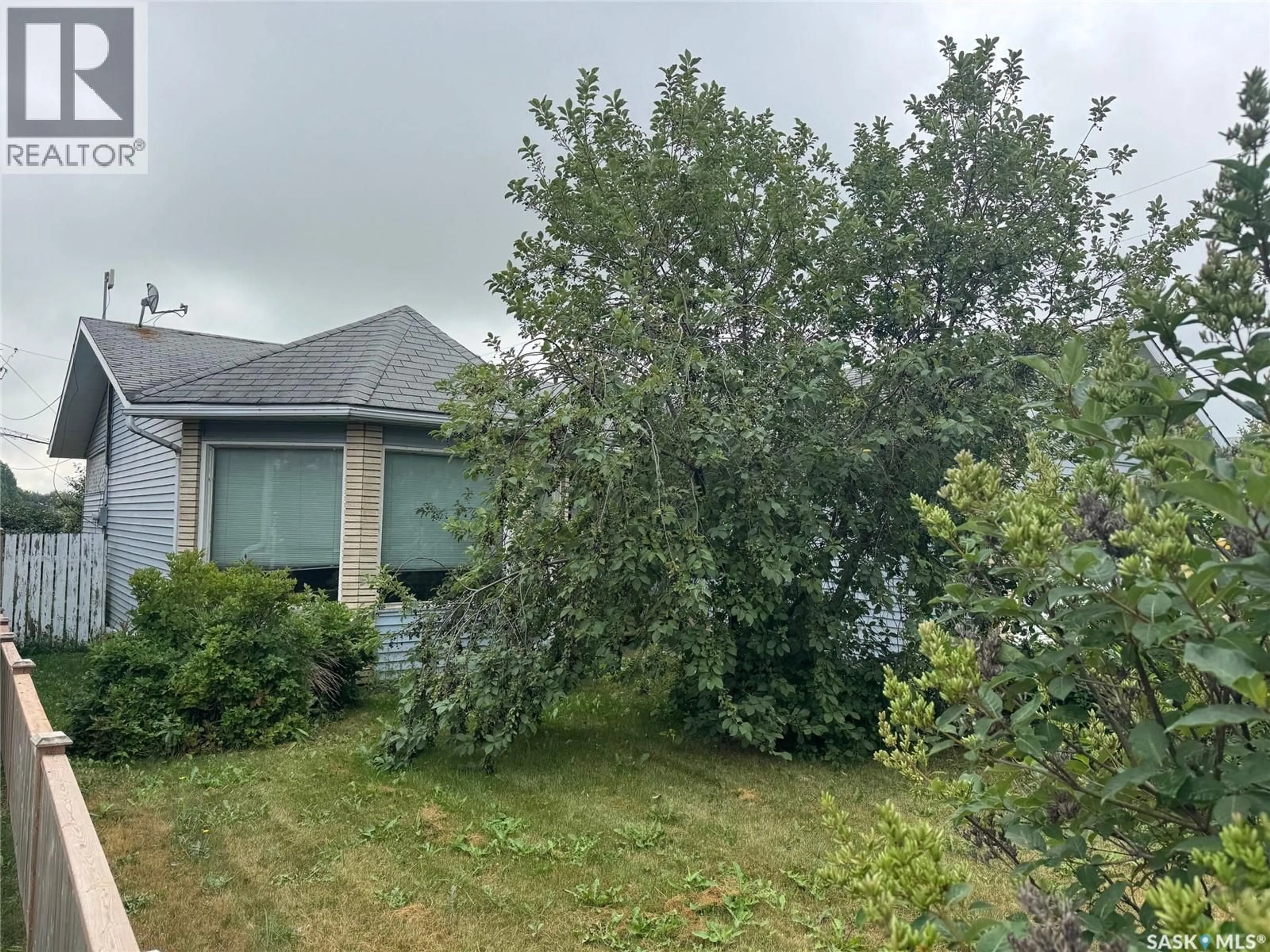 A pic from outside/outdoor area/front of a property/back of a property/a pic from drone, forest/trees view for 303 1ST AVENUE, Naicam Saskatchewan S0K2Z0