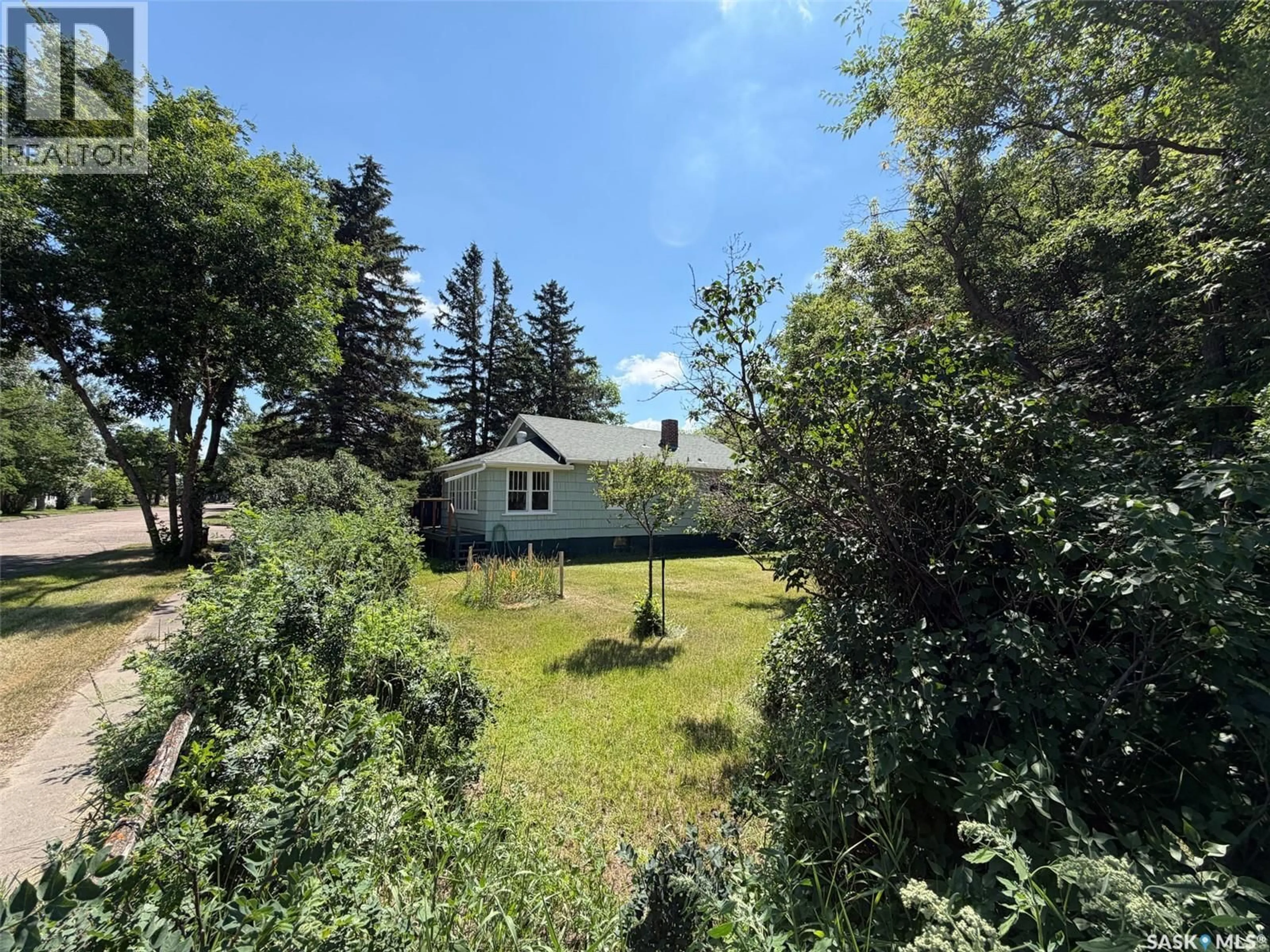 A pic from outside/outdoor area/front of a property/back of a property/a pic from drone, forest/trees view for 604 FRONT STREET, Eastend Saskatchewan S0N0T0