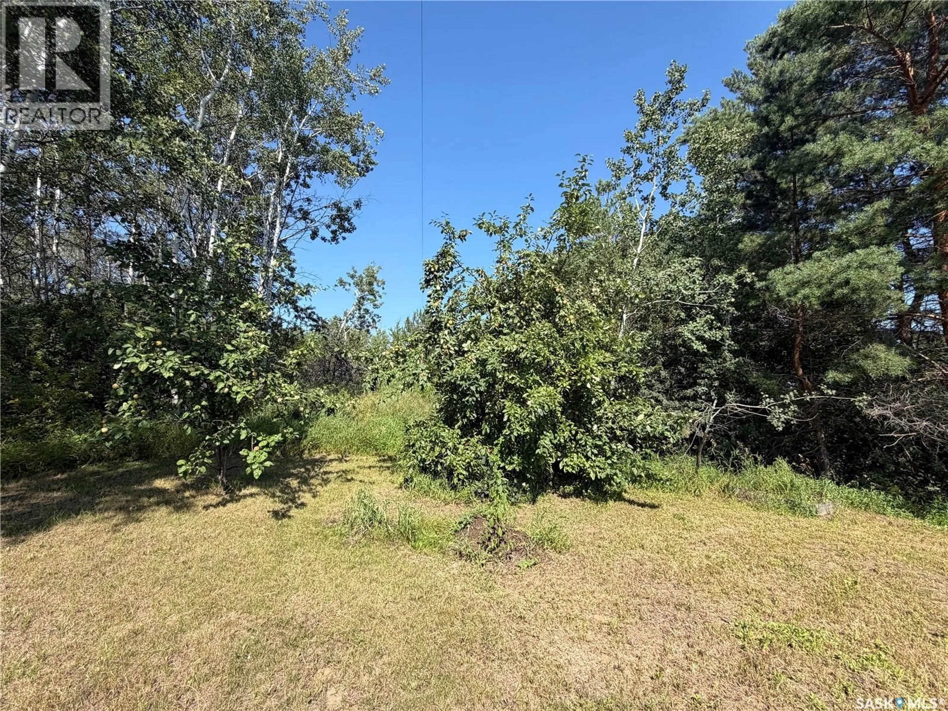 A pic from outside/outdoor area/front of a property/back of a property/a pic from drone, forest/trees view for CYR, Shellbrook Rm No. 493 Saskatchewan S0J2E0