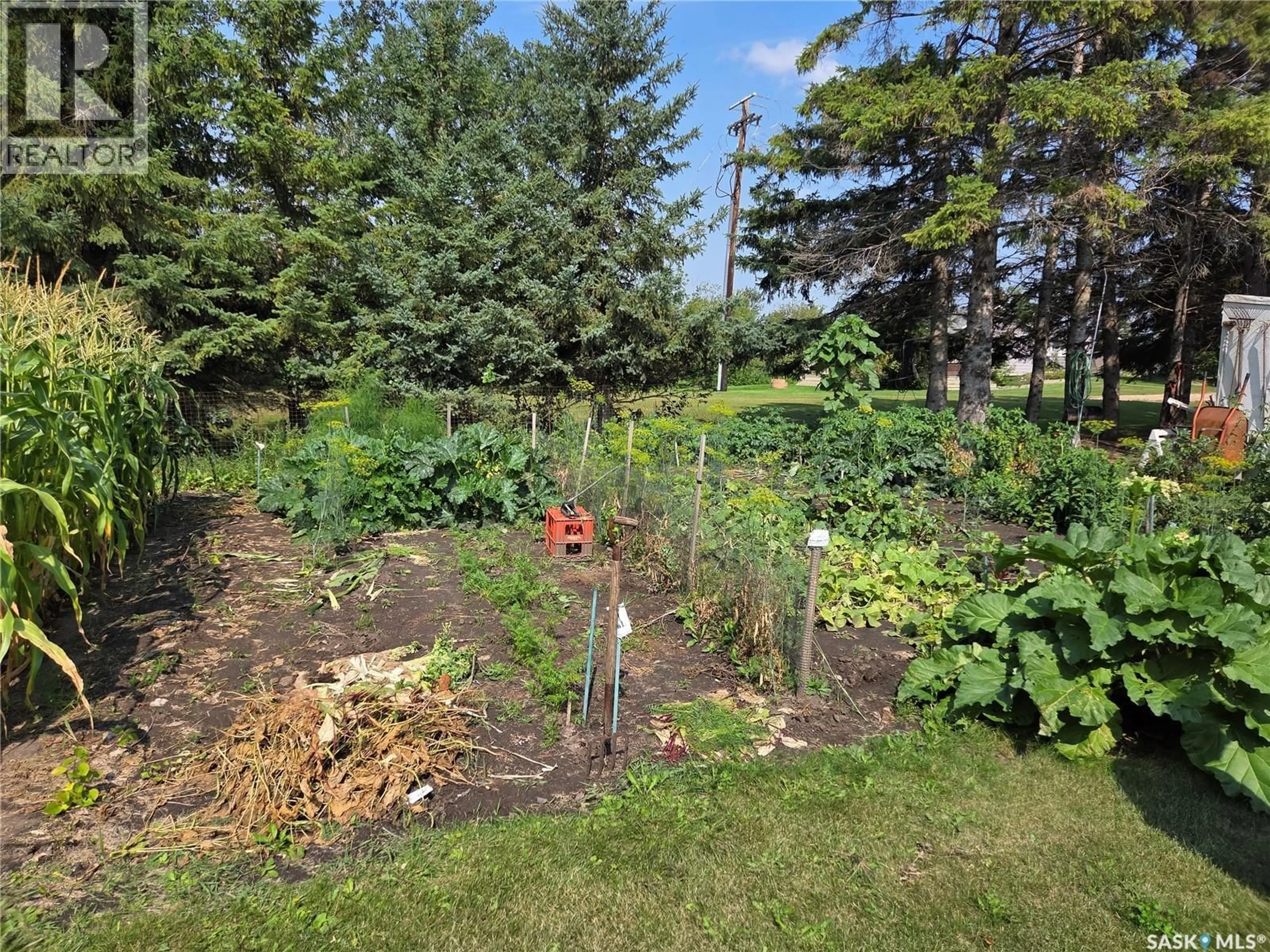 Patio, street for 159 BIRCH ROAD, Carrot River Saskatchewan S0E0L0